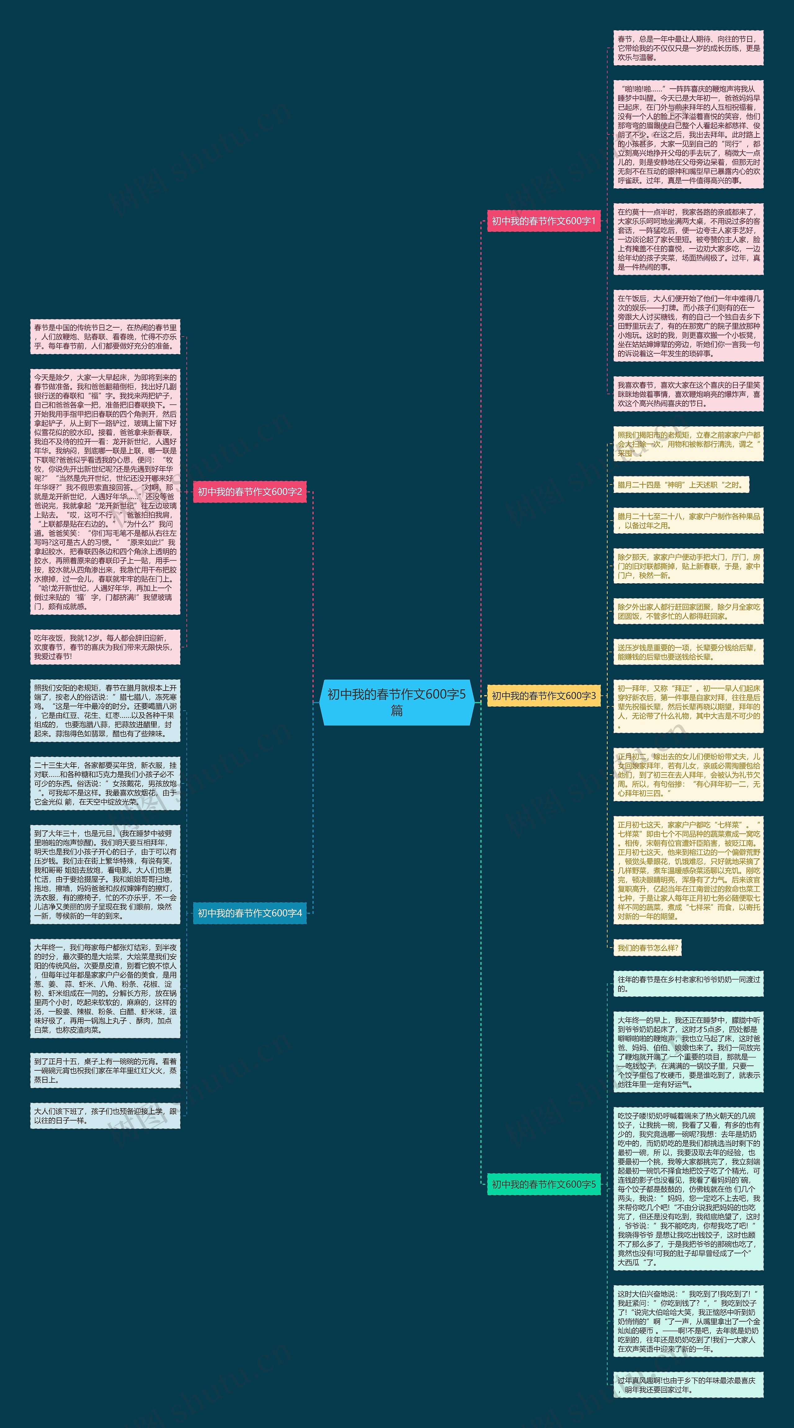 初中我的春节作文600字5篇思维导图