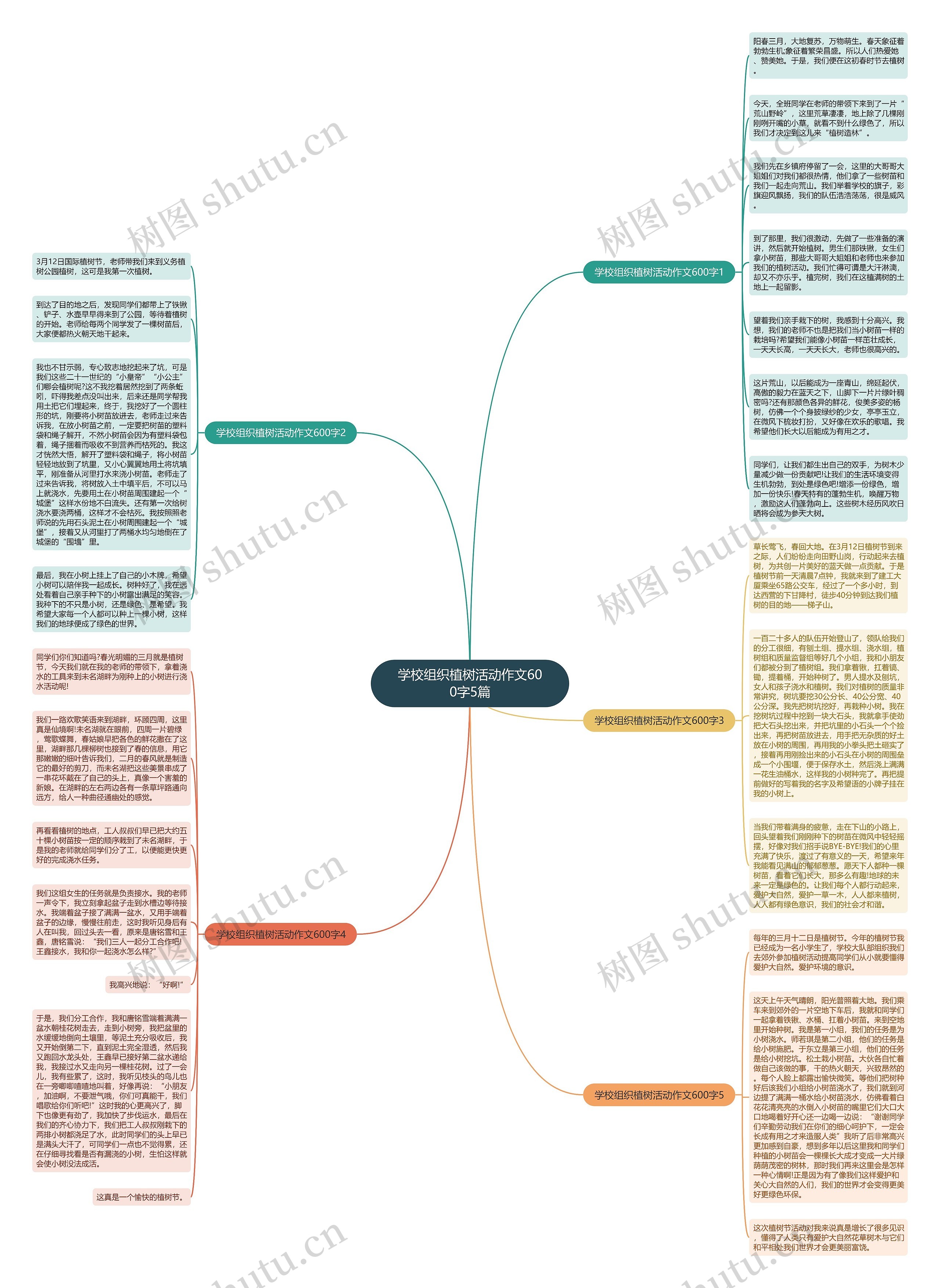学校组织植树活动作文600字5篇思维导图
