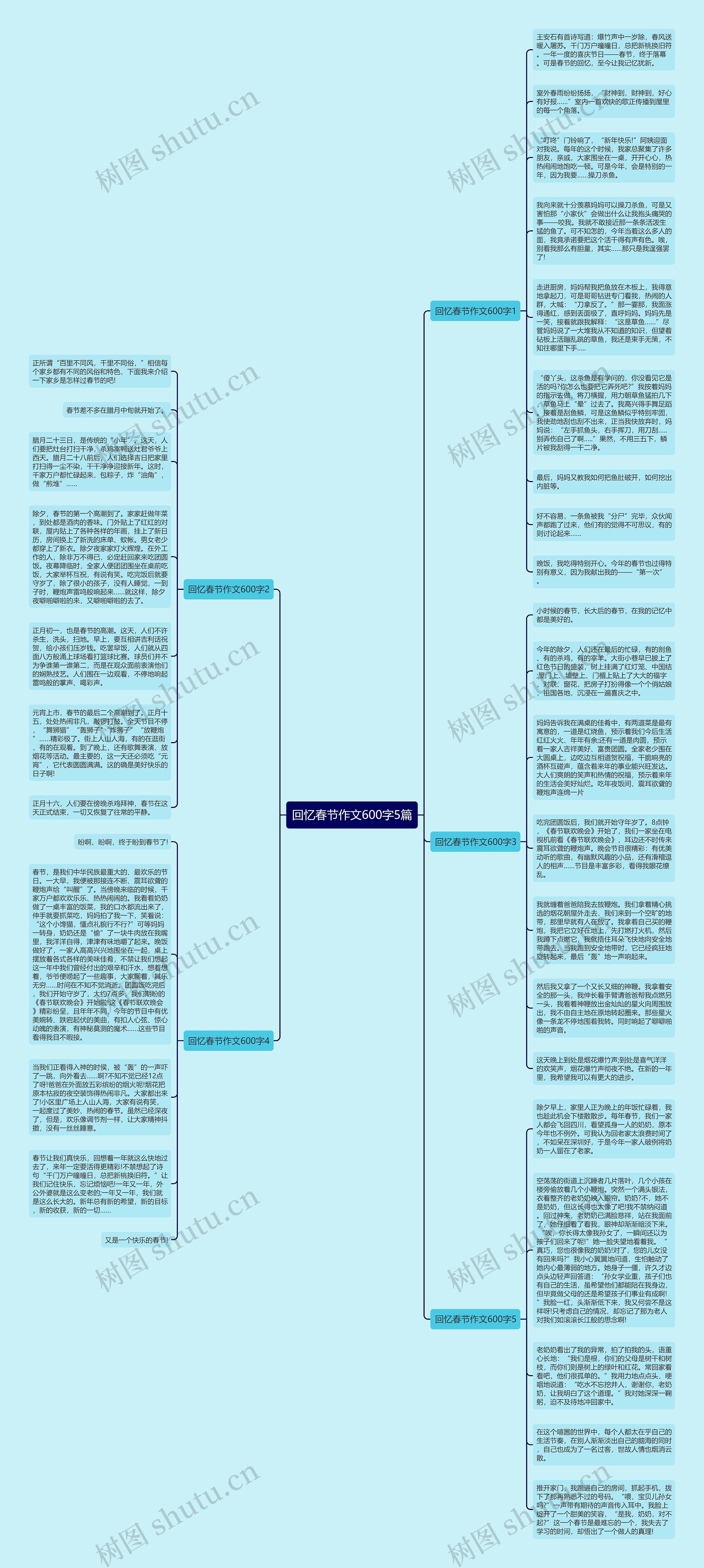 回忆春节作文600字5篇思维导图
