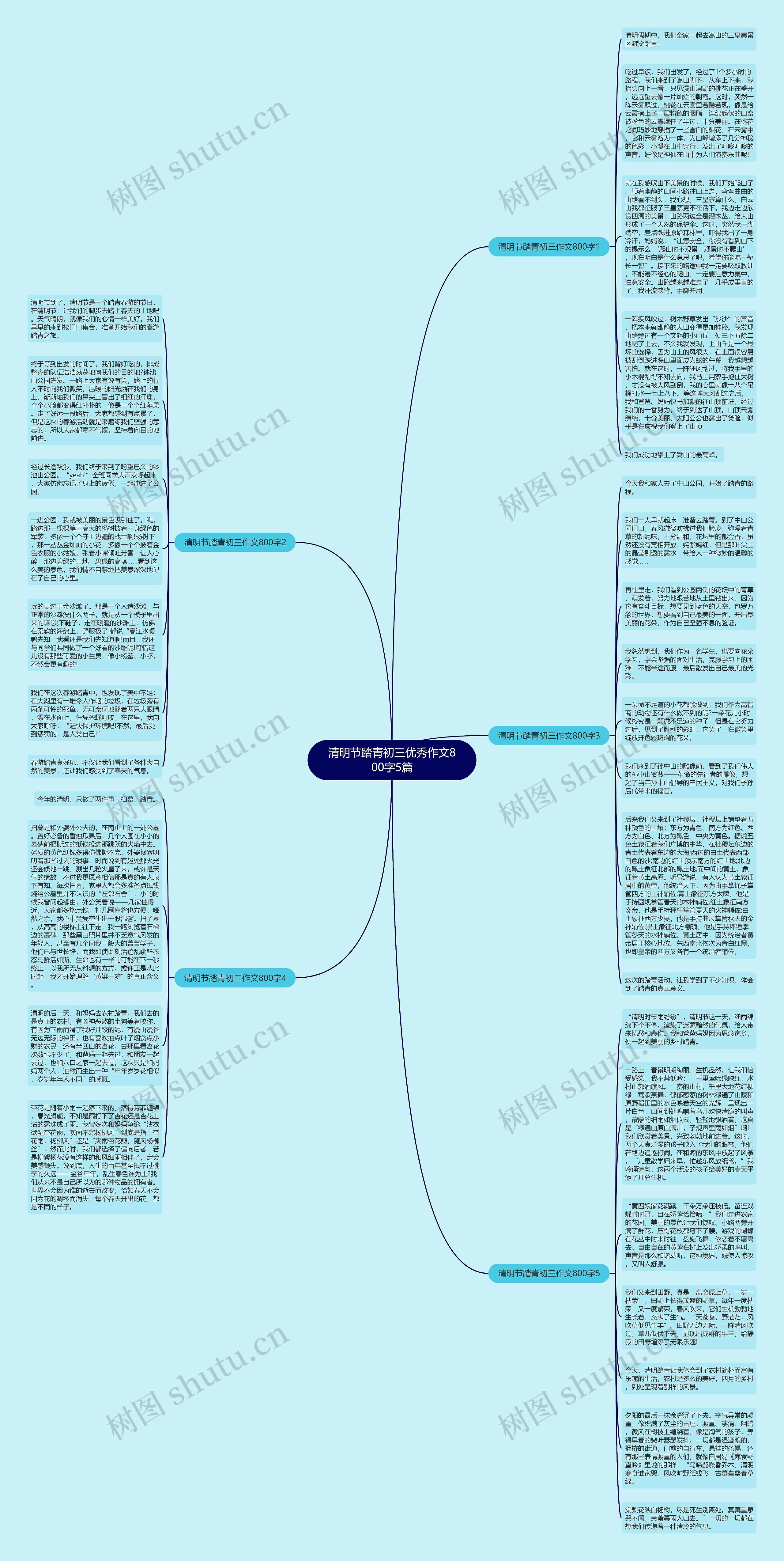 清明节踏青初三优秀作文800字5篇思维导图