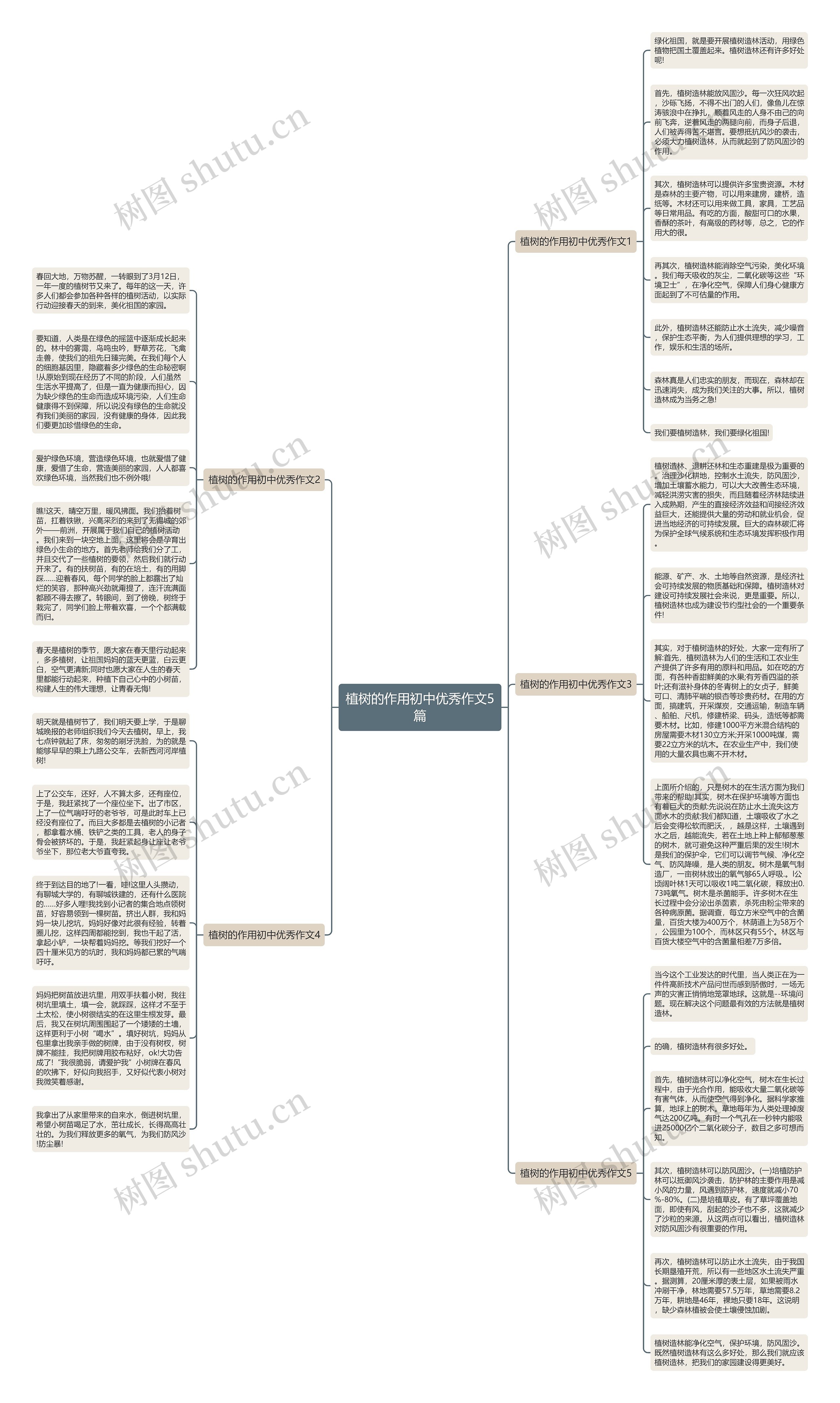 植树的作用初中优秀作文5篇思维导图