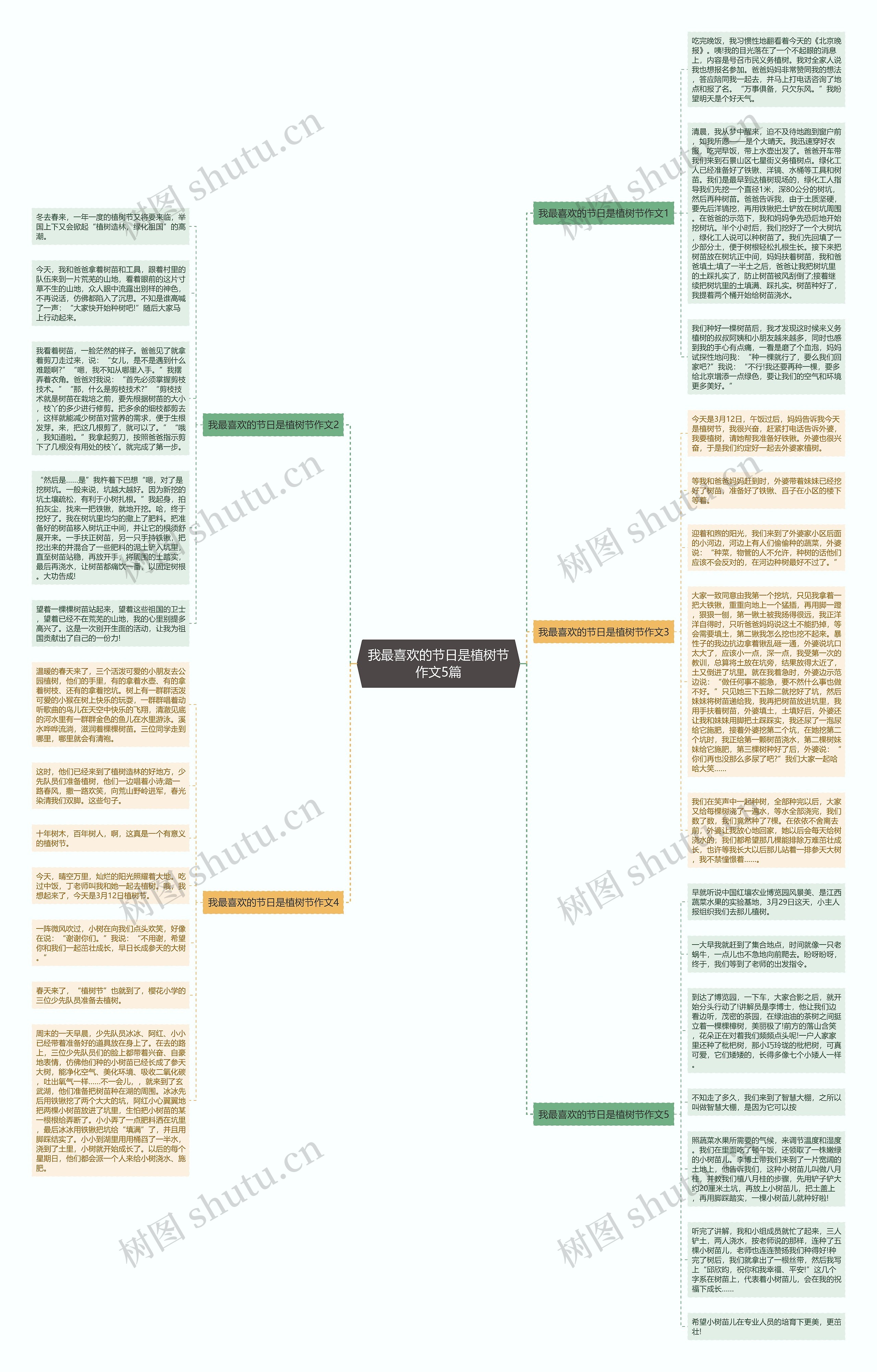 我最喜欢的节日是植树节作文5篇思维导图