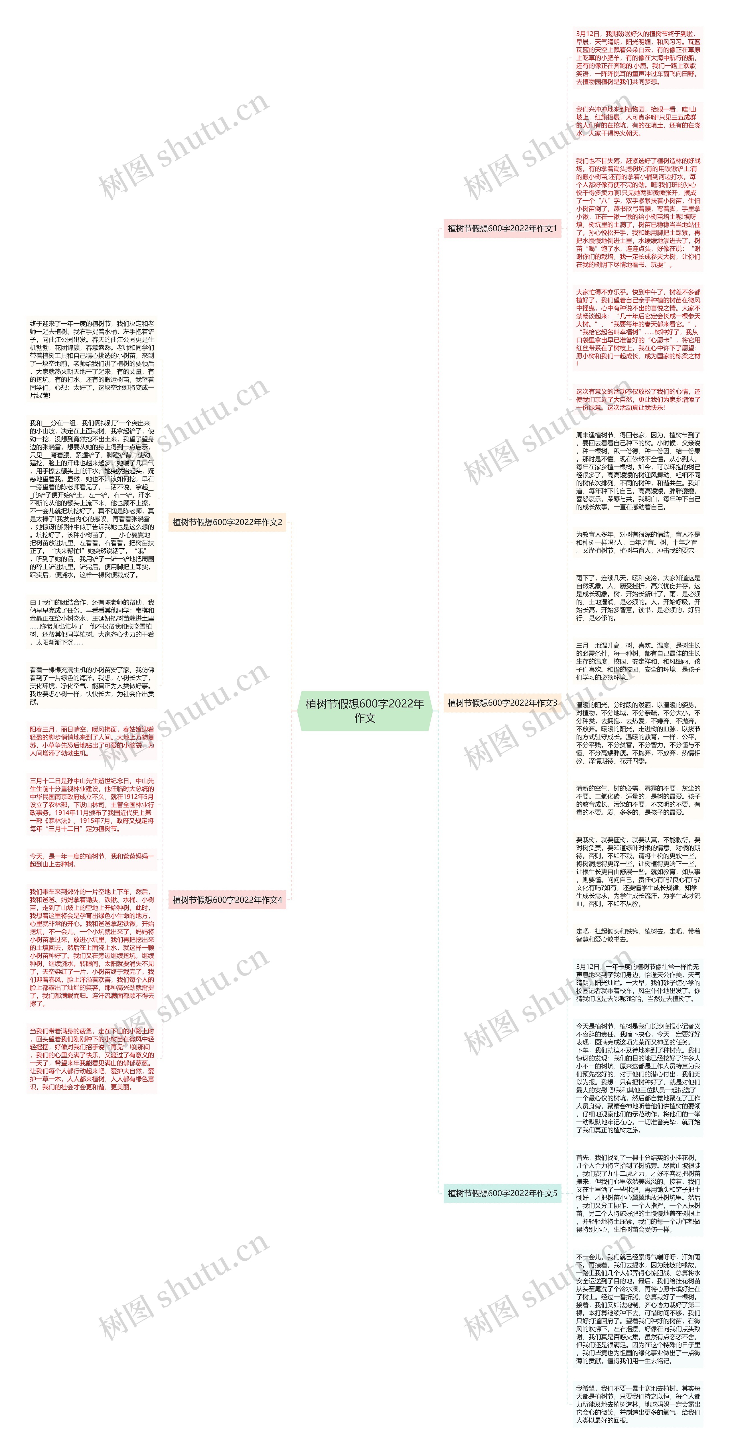 植树节假想600字2022年作文思维导图