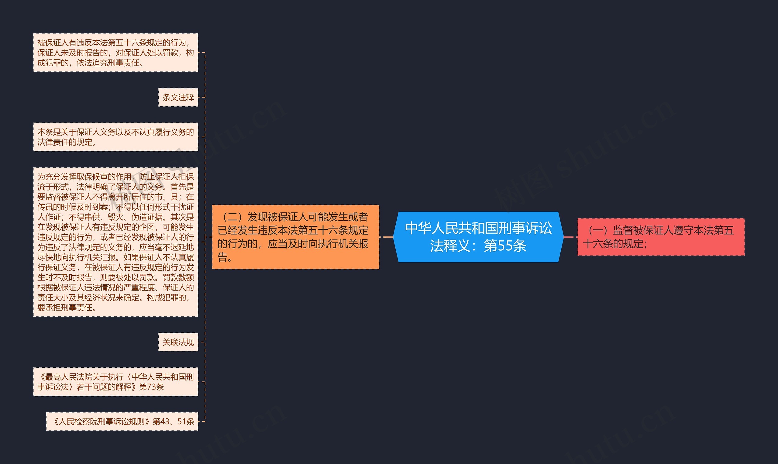 中华人民共和国刑事诉讼法释义：第55条思维导图