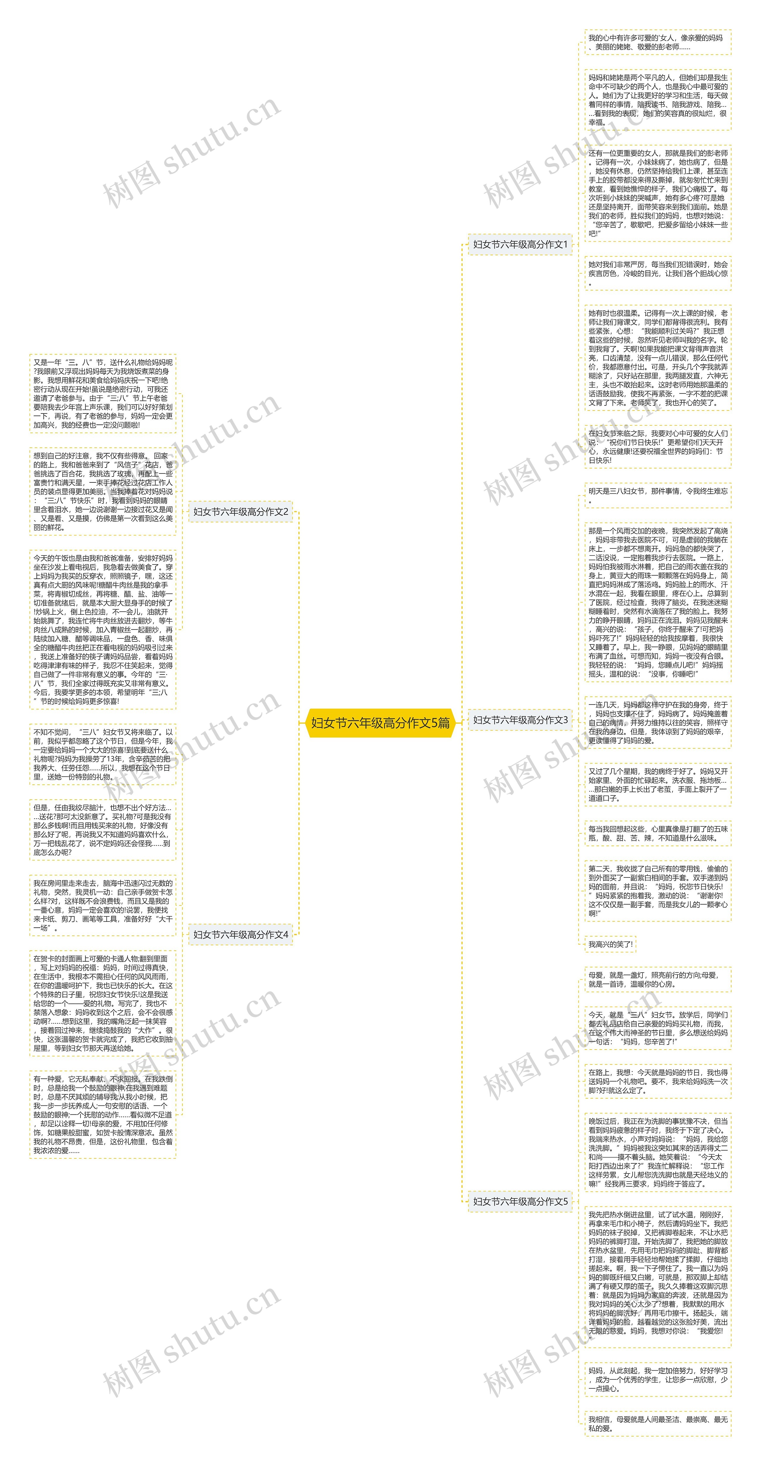 妇女节六年级高分作文5篇思维导图