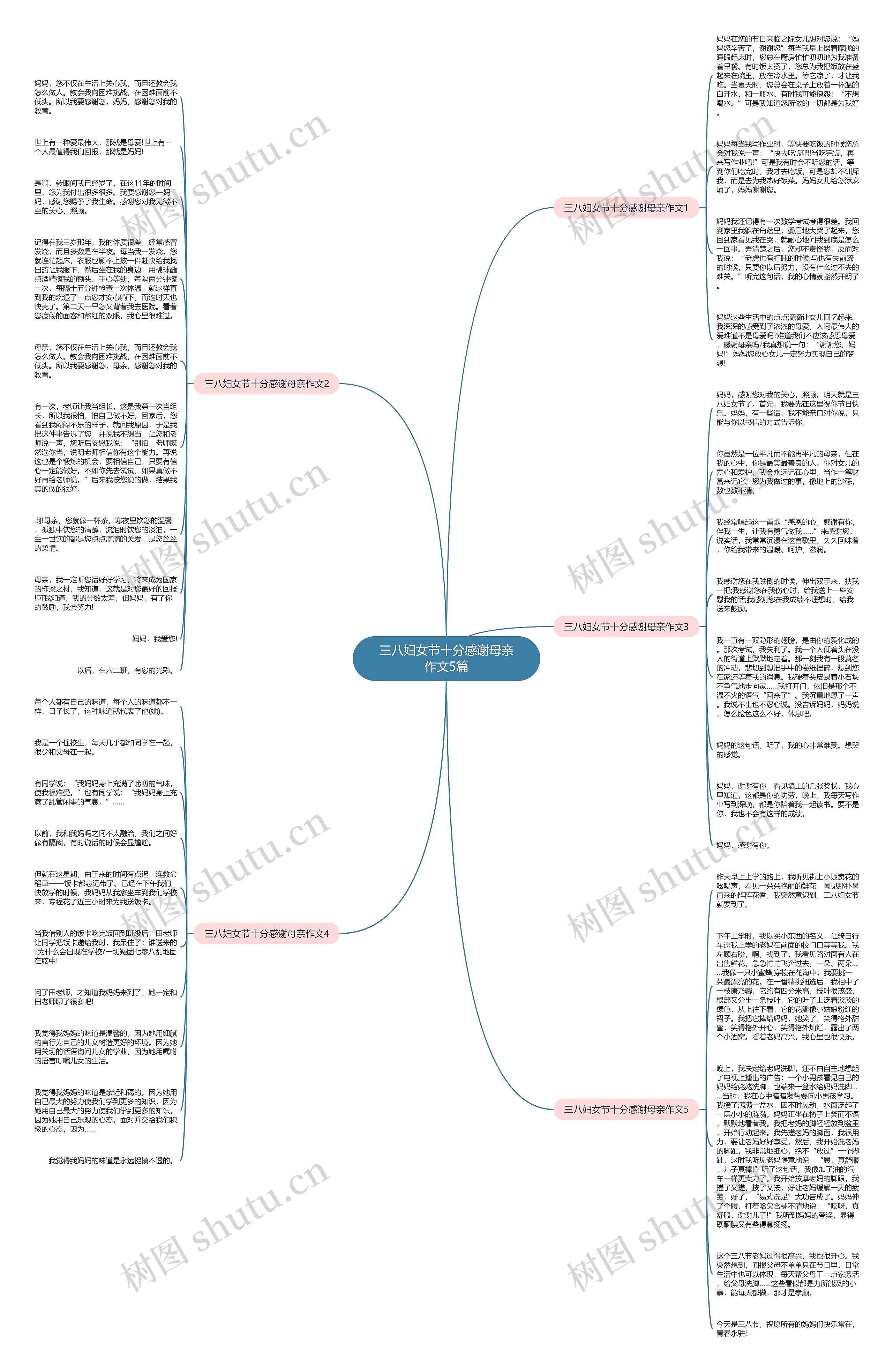 三八妇女节十分感谢母亲作文5篇思维导图