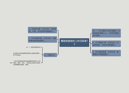 事故伤害损失工作日标准13