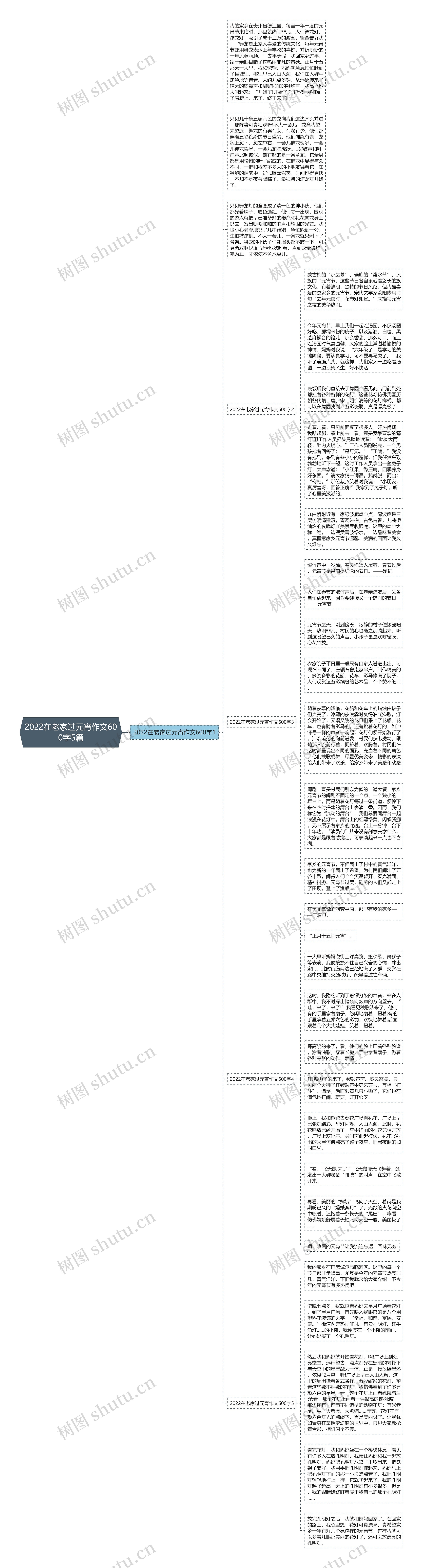 2022在老家过元宵作文600字5篇