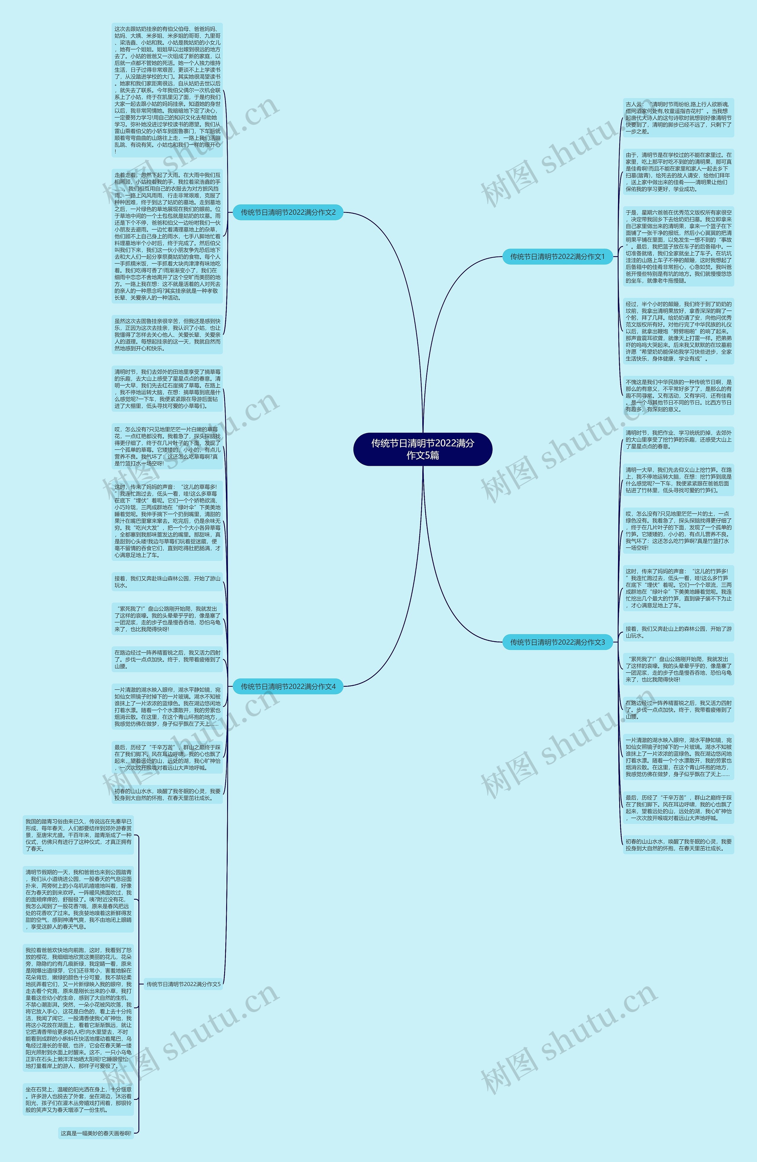 传统节日清明节2022满分作文5篇思维导图