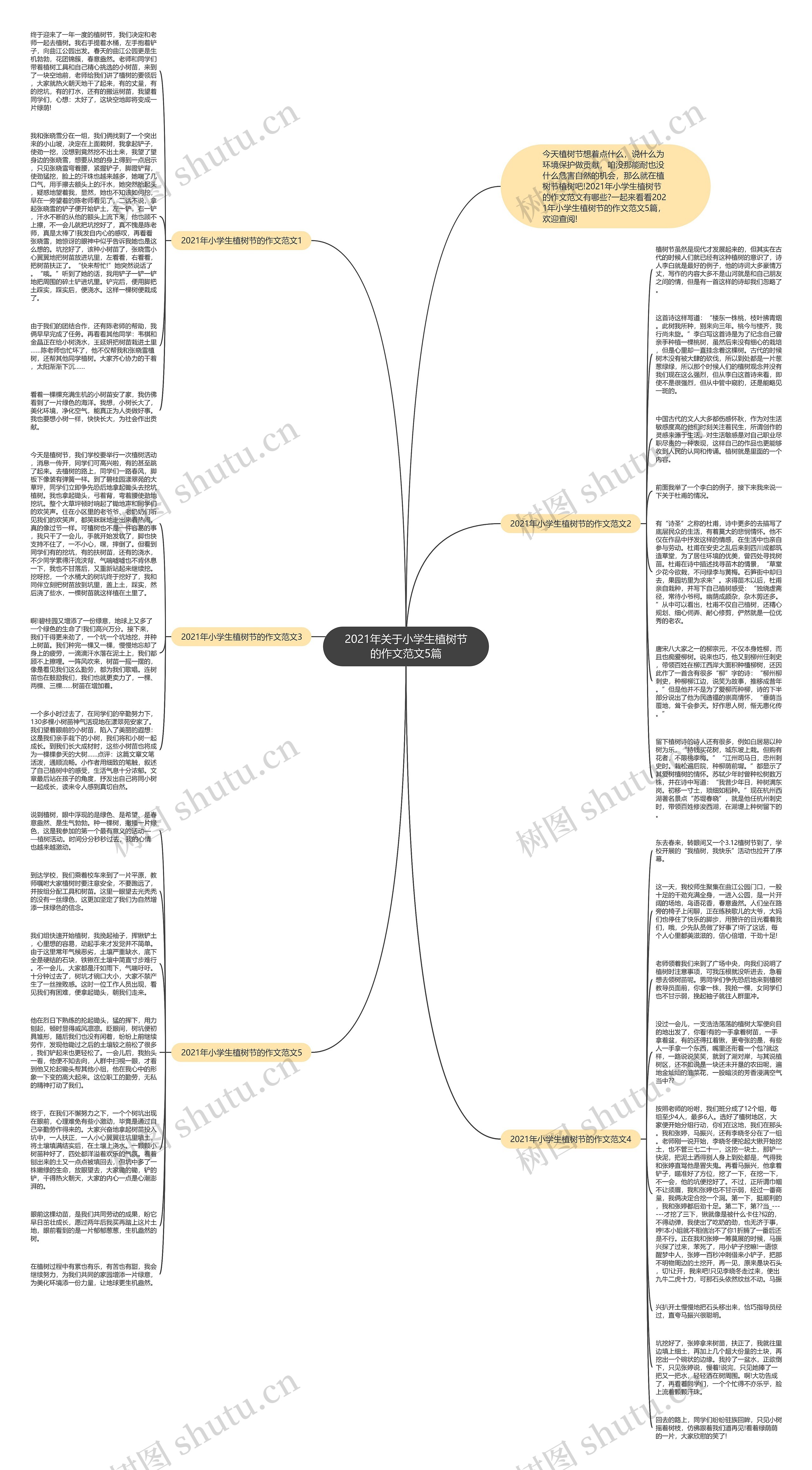 2021年关于小学生植树节的作文范文5篇思维导图
