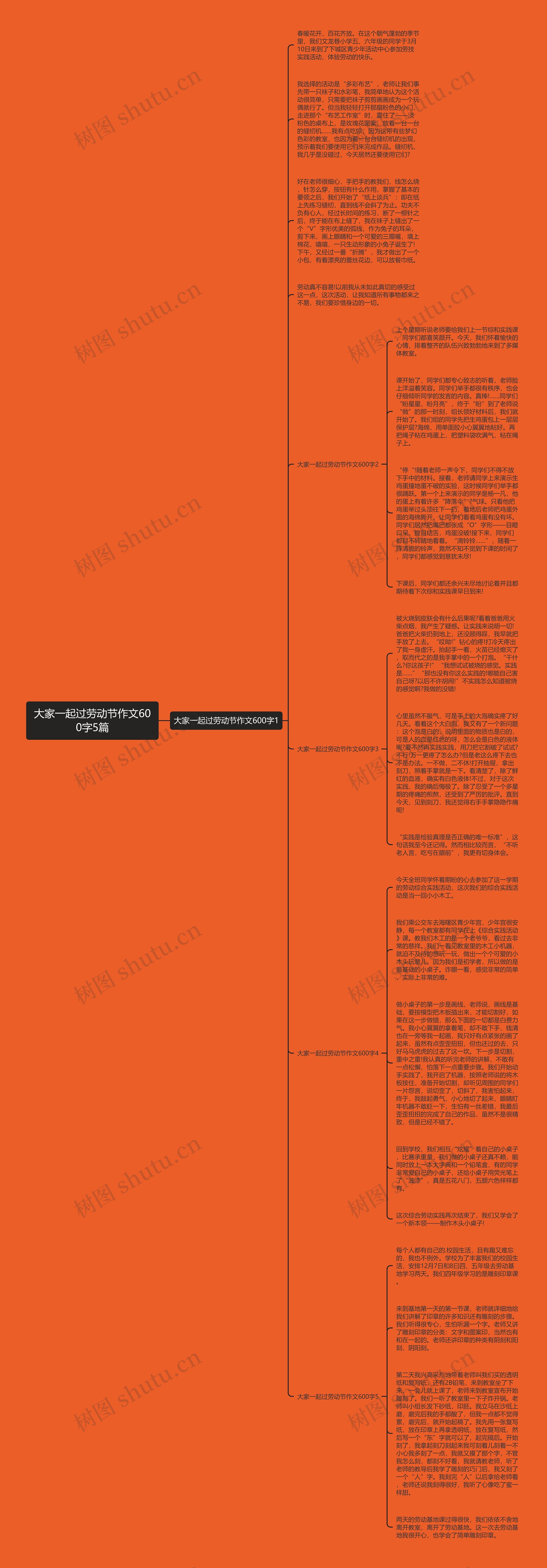 大家一起过劳动节作文600字5篇