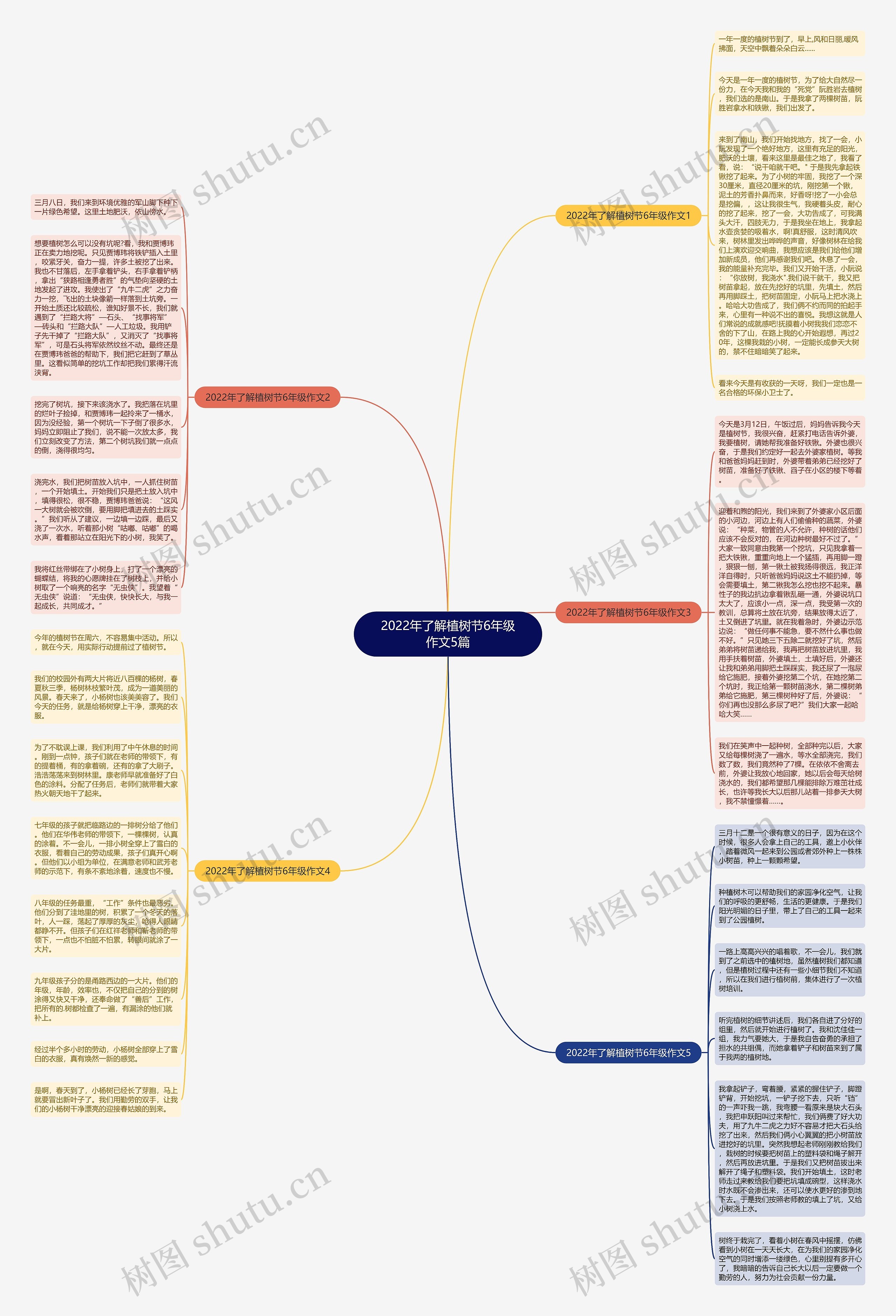 2022年了解植树节6年级作文5篇思维导图