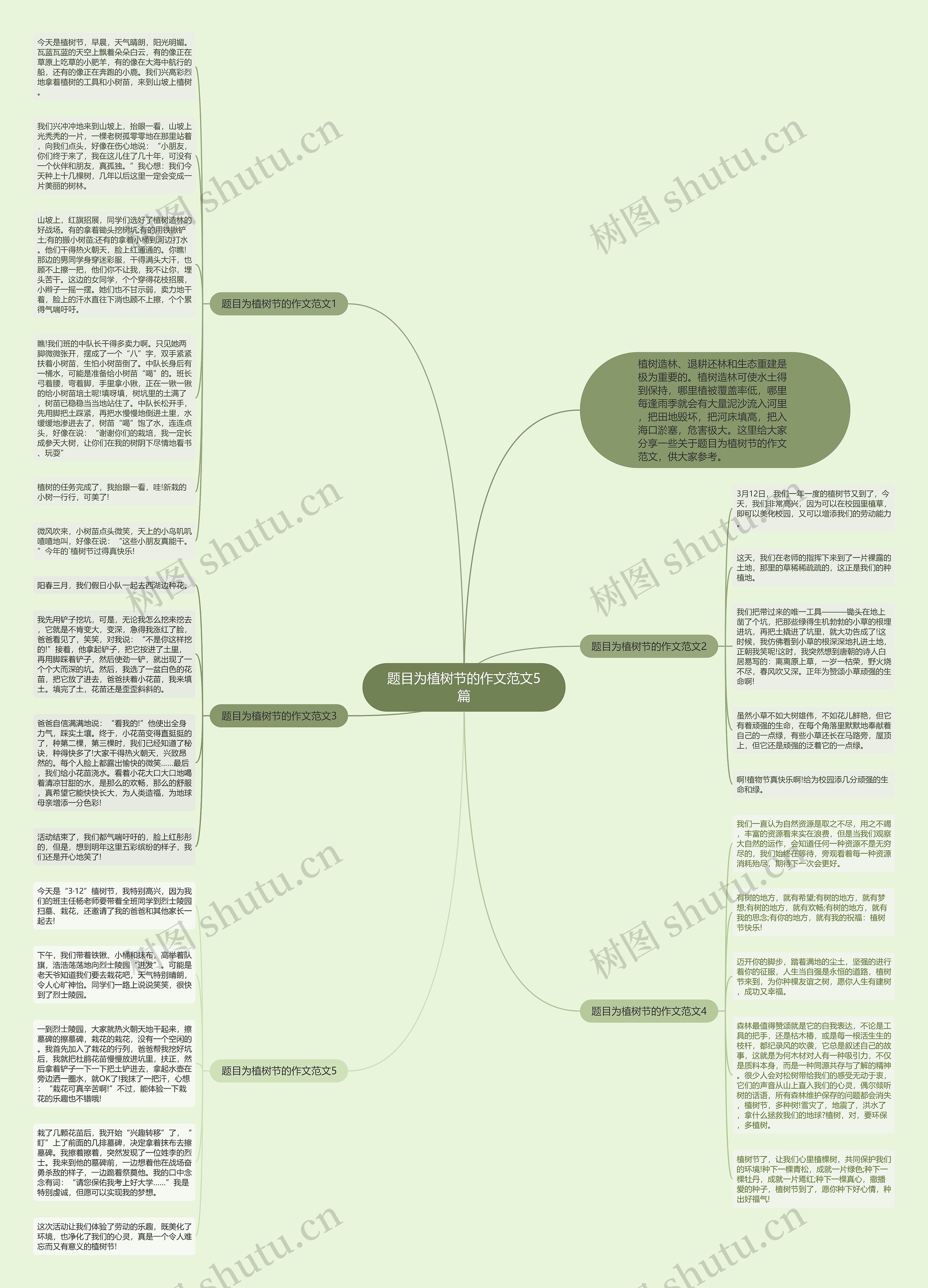 题目为植树节的作文范文5篇思维导图