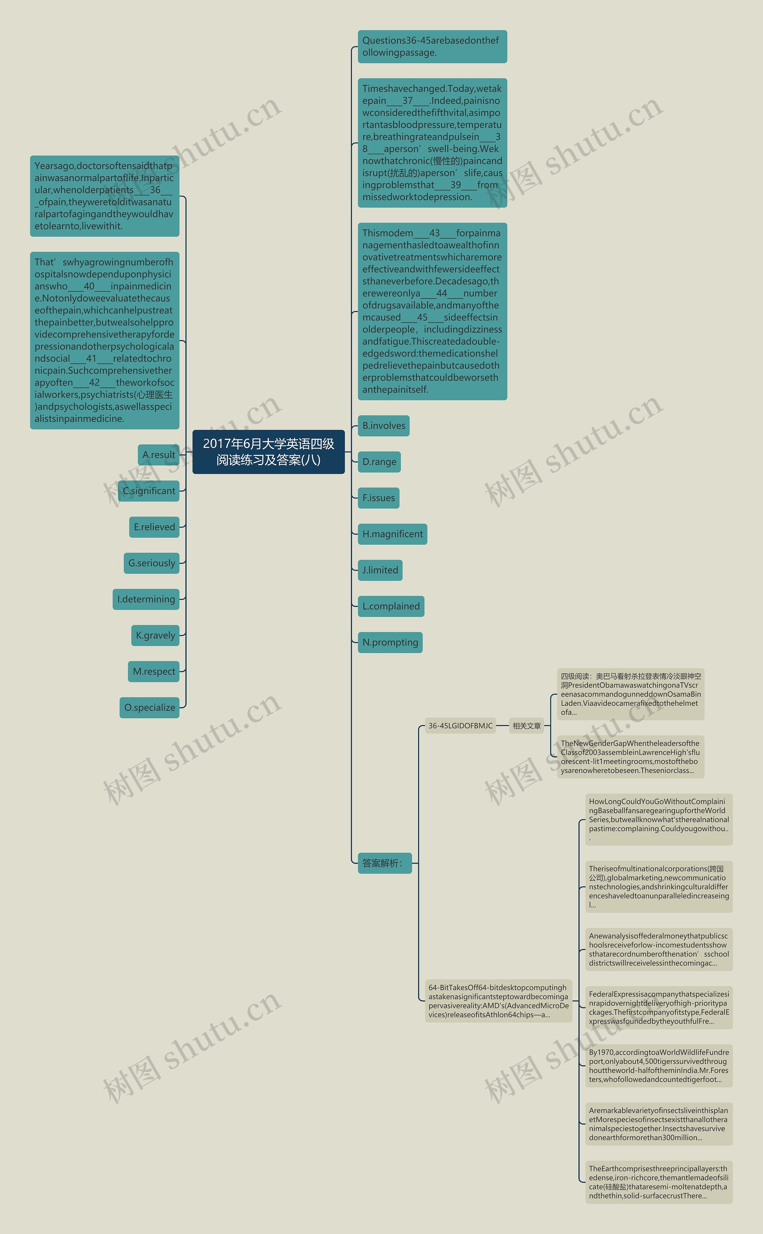 2017年6月大学英语四级阅读练习及答案(八)思维导图