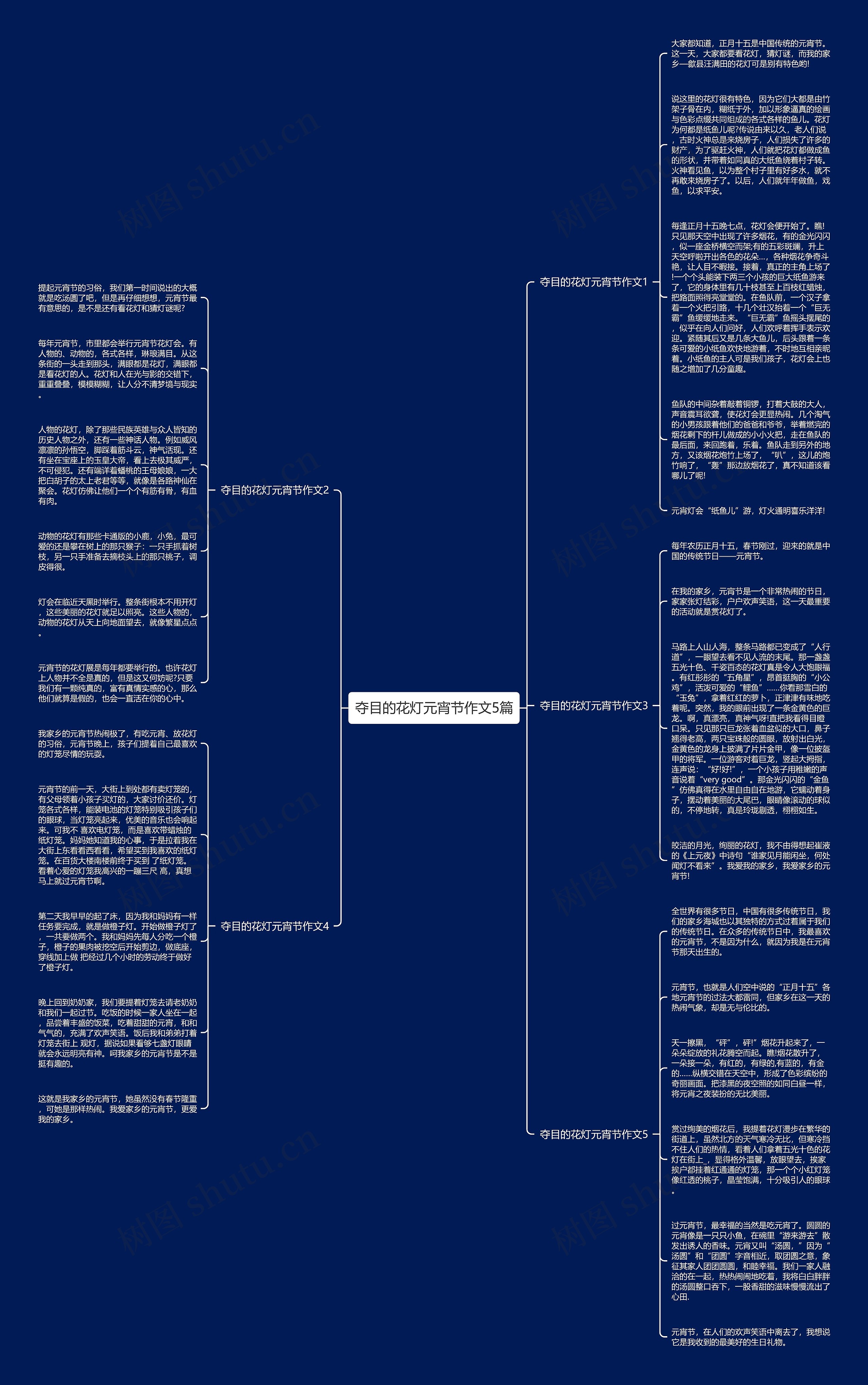 夺目的花灯元宵节作文5篇思维导图