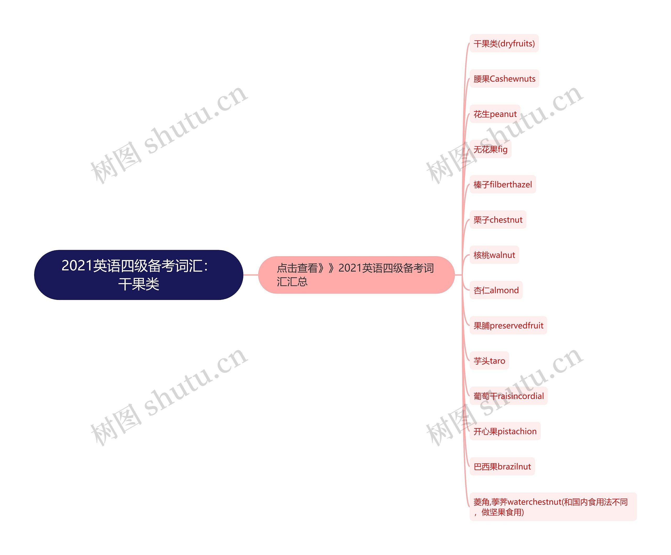 2021英语四级备考词汇：干果类思维导图