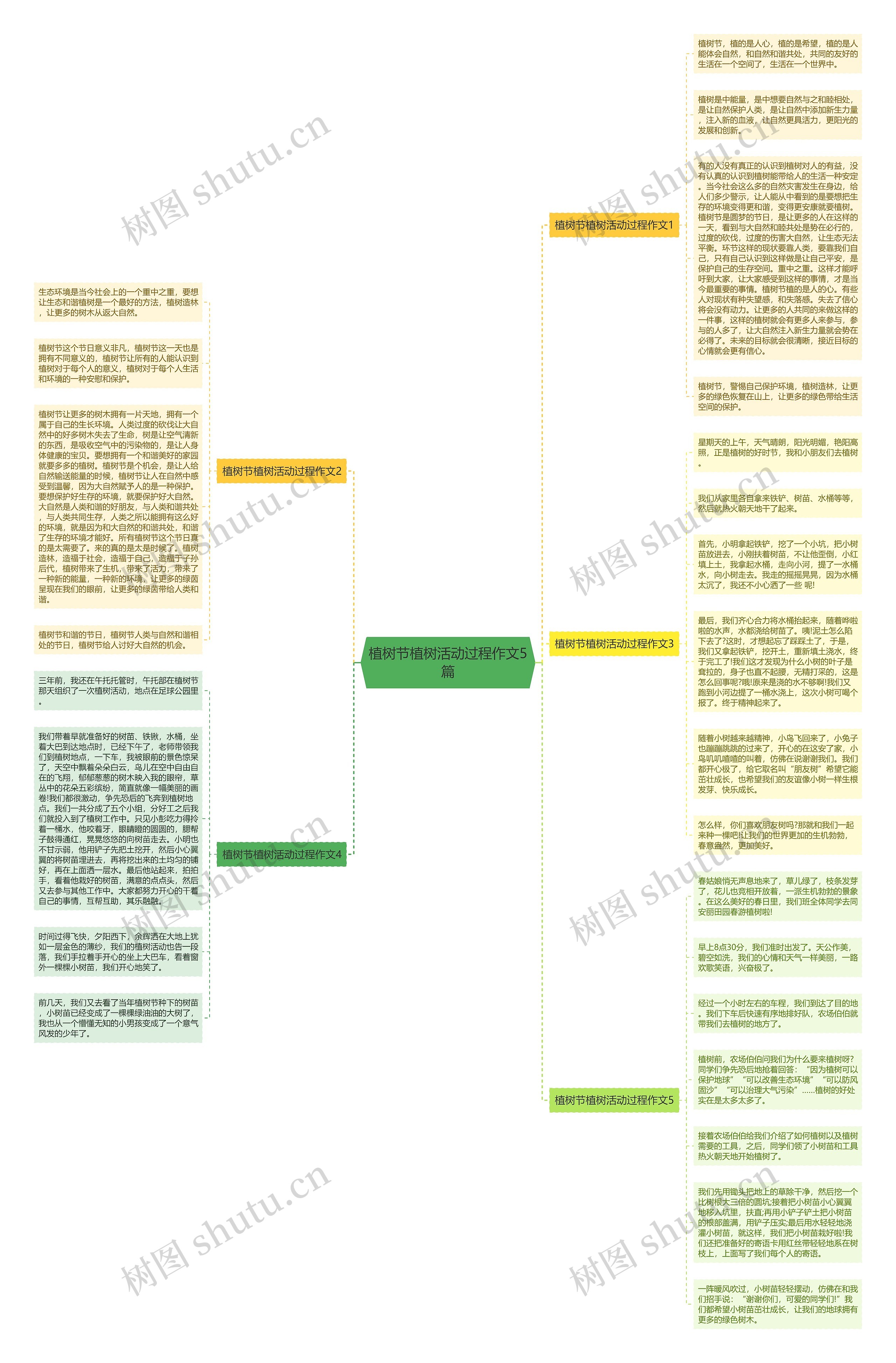 植树节植树活动过程作文5篇思维导图
