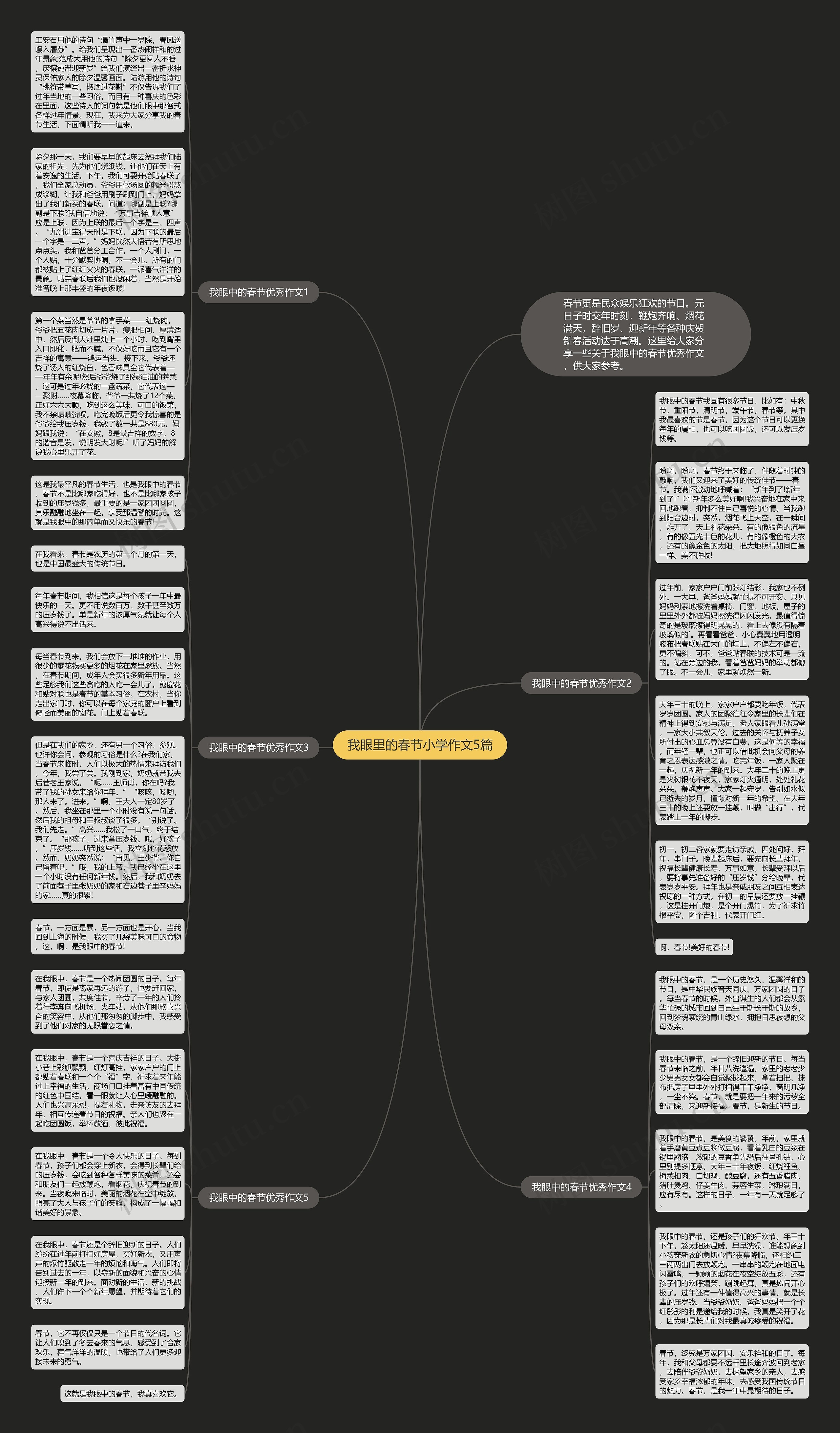 我眼里的春节小学作文5篇思维导图