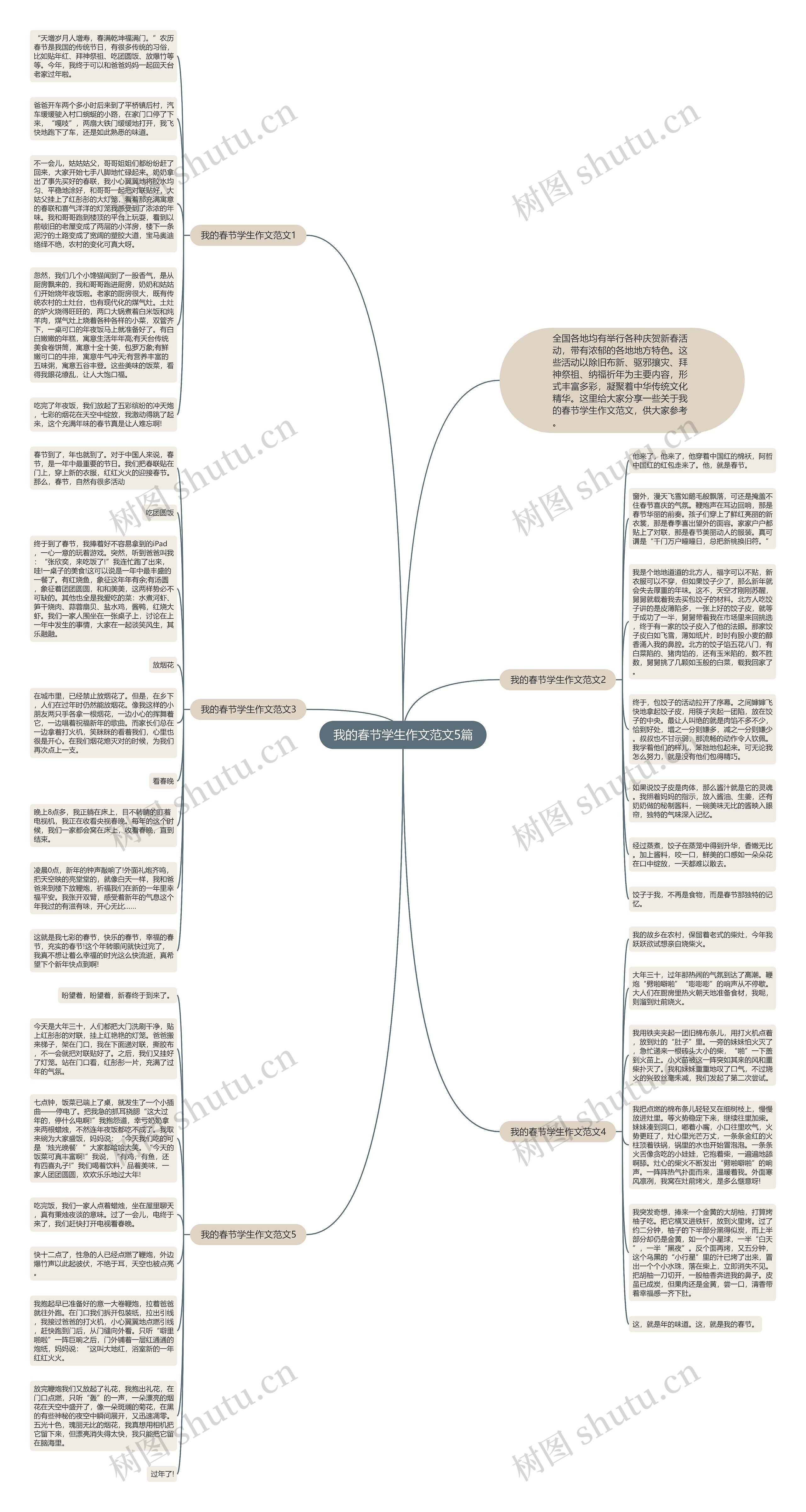 我的春节学生作文范文5篇思维导图