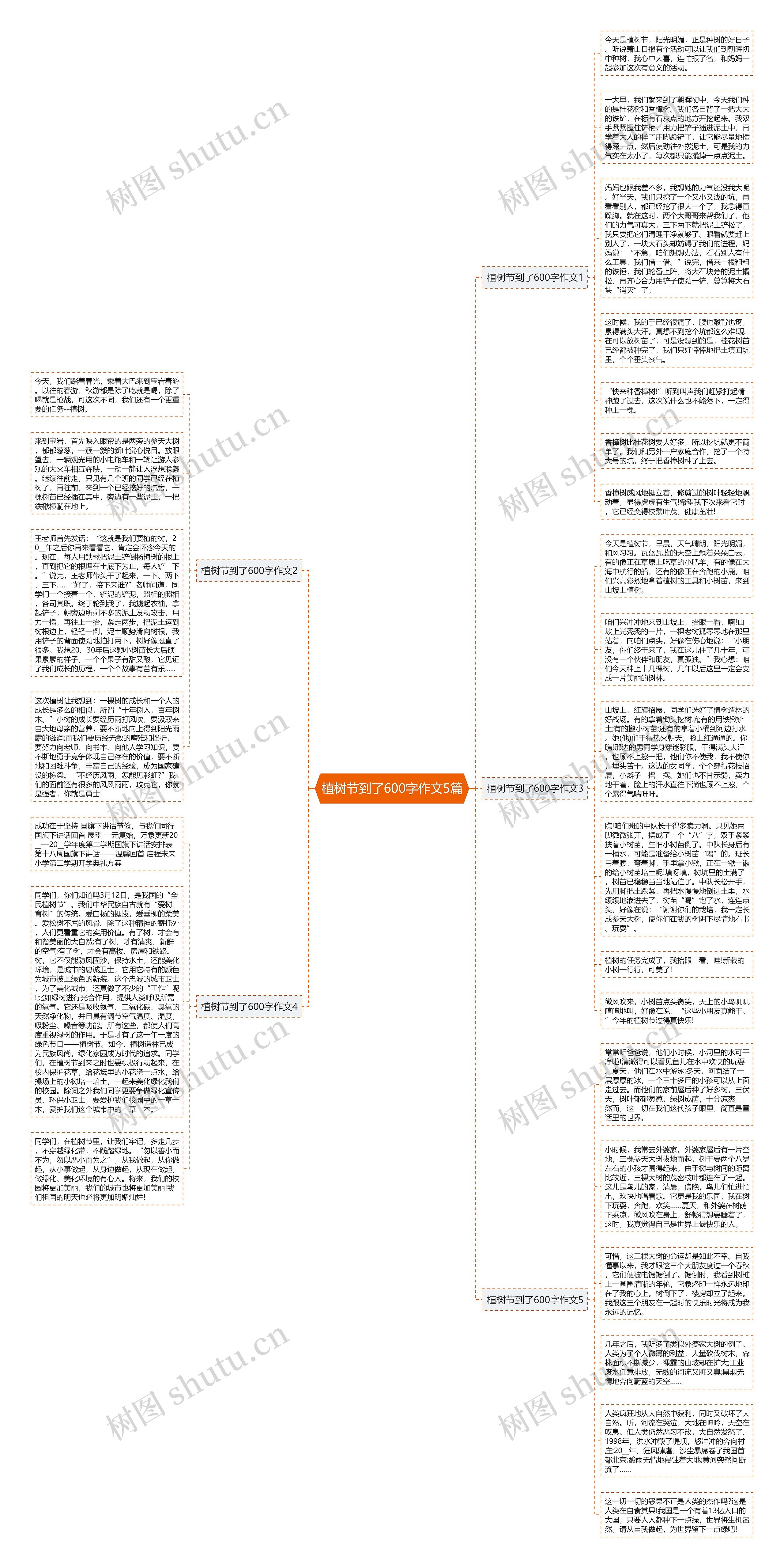 植树节到了600字作文5篇思维导图