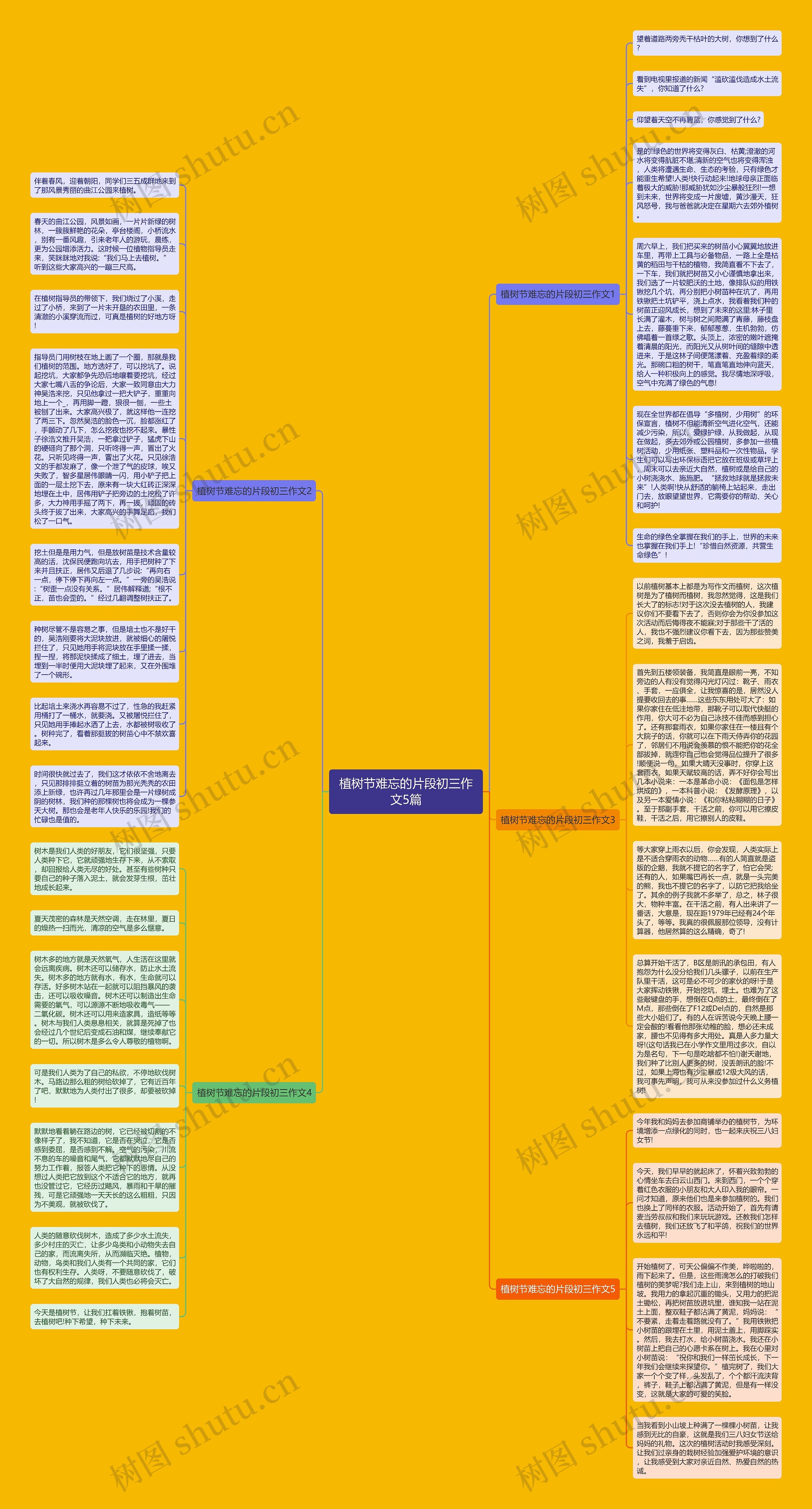 植树节难忘的片段初三作文5篇思维导图