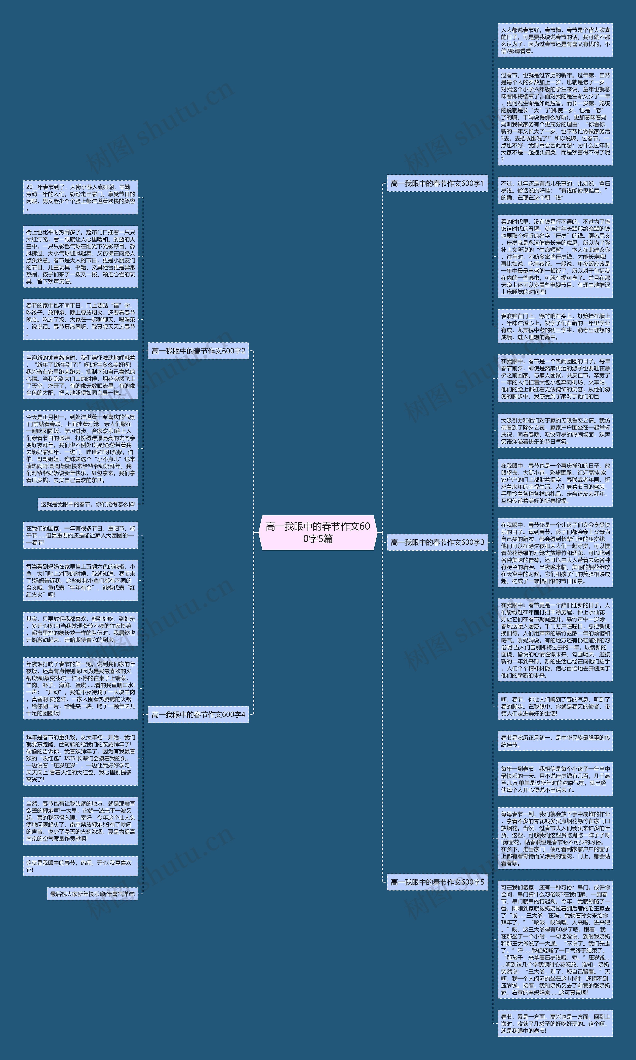 高一我眼中的春节作文600字5篇思维导图