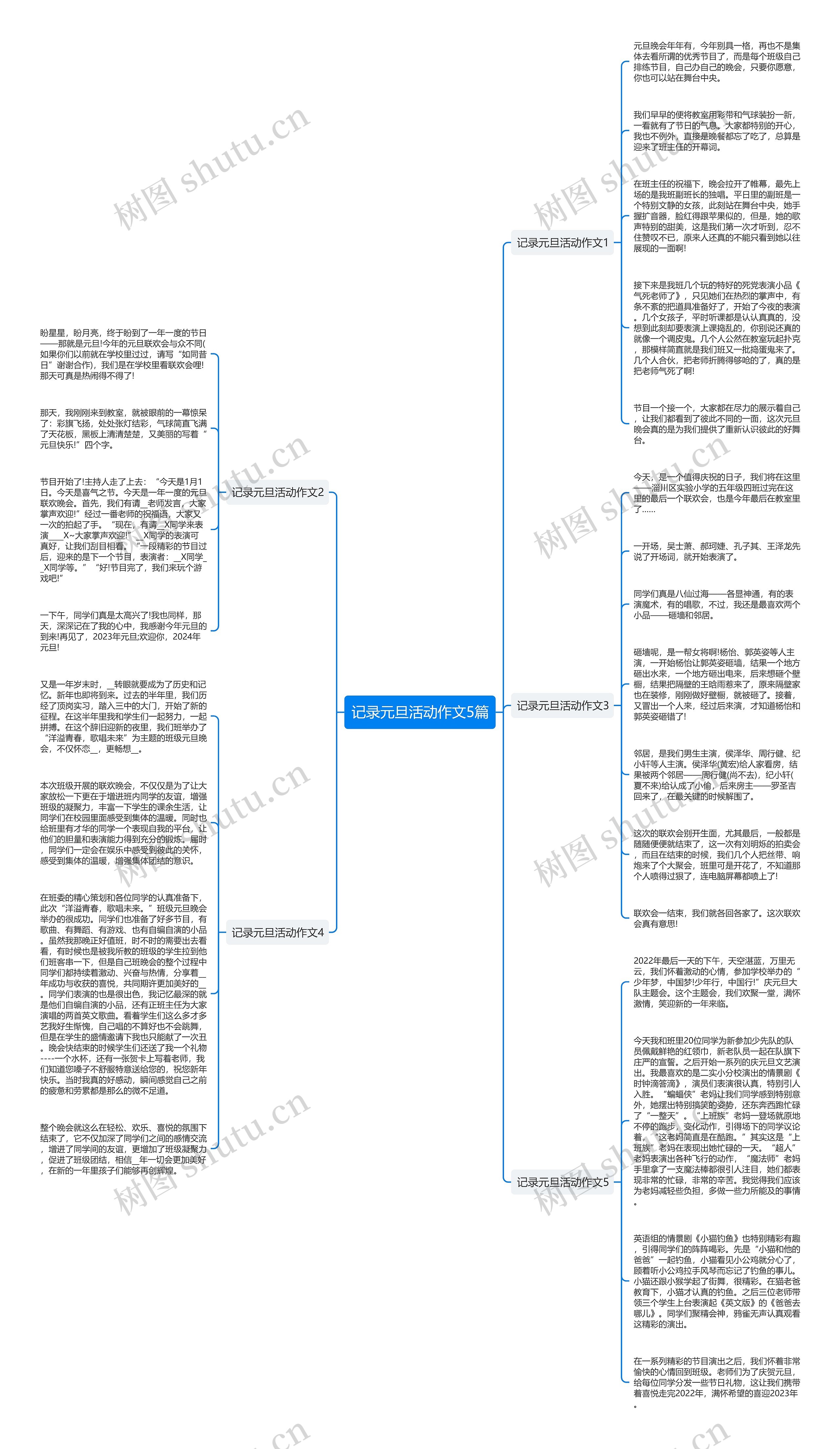 记录元旦活动作文5篇思维导图