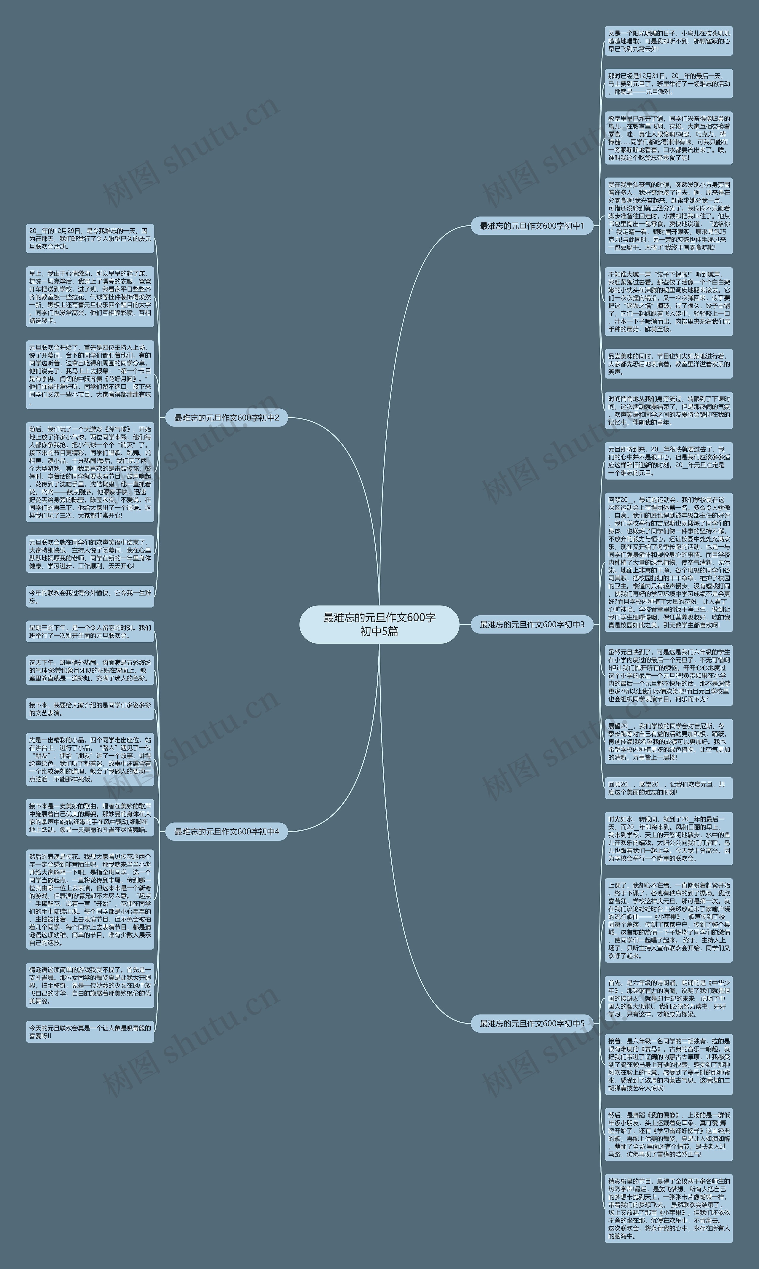 最难忘的元旦作文600字初中5篇思维导图
