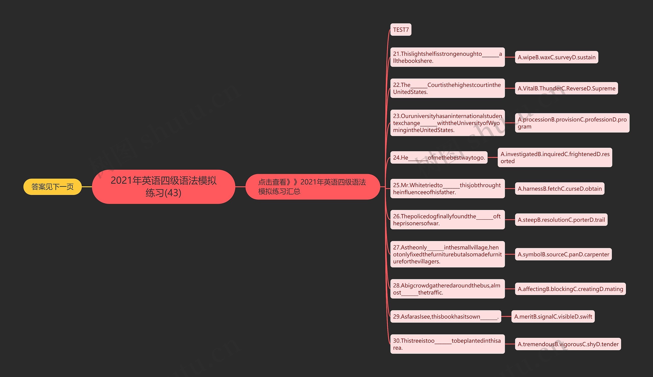 2021年英语四级语法模拟练习(43)思维导图