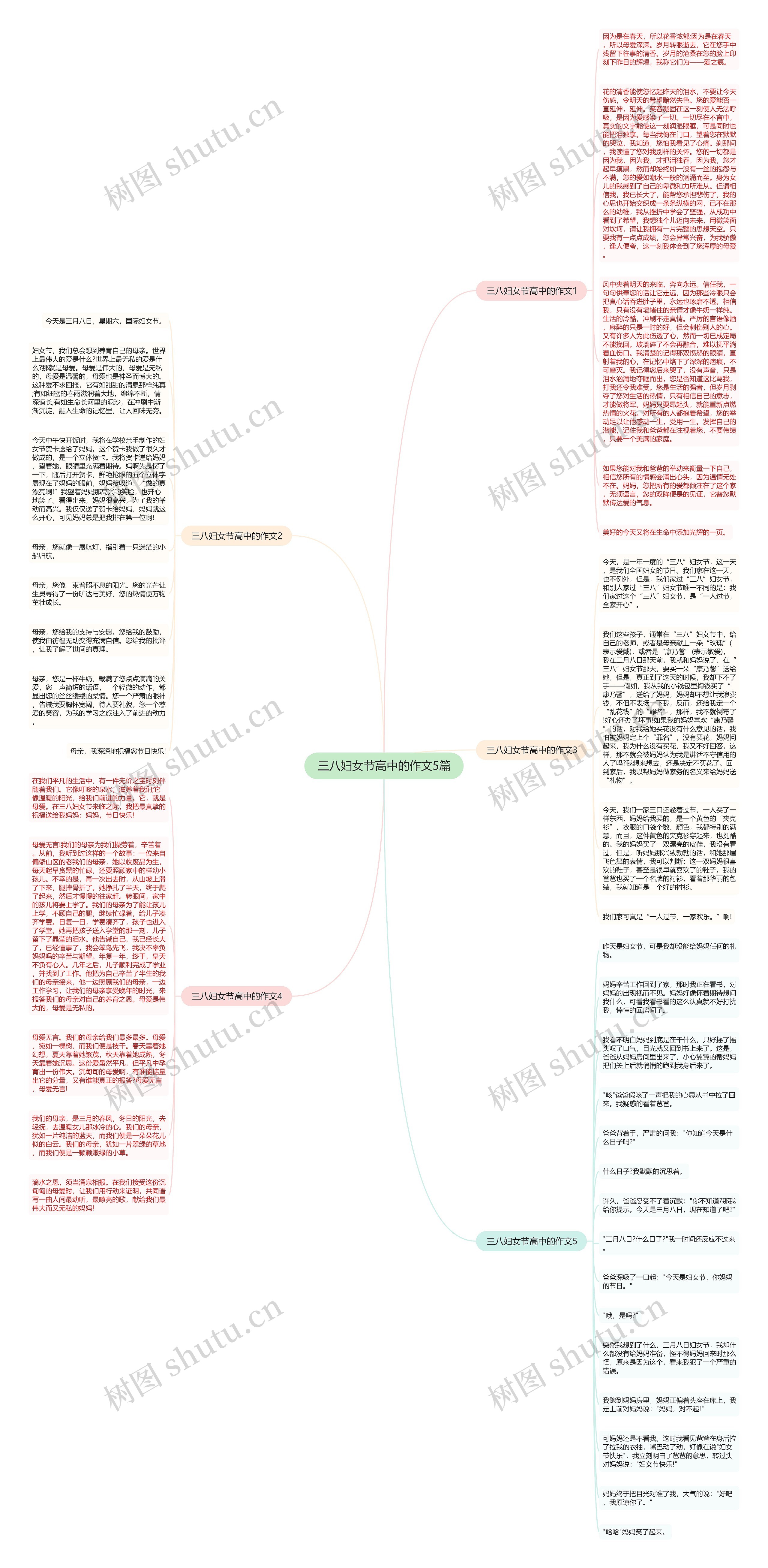 三八妇女节高中的作文5篇思维导图