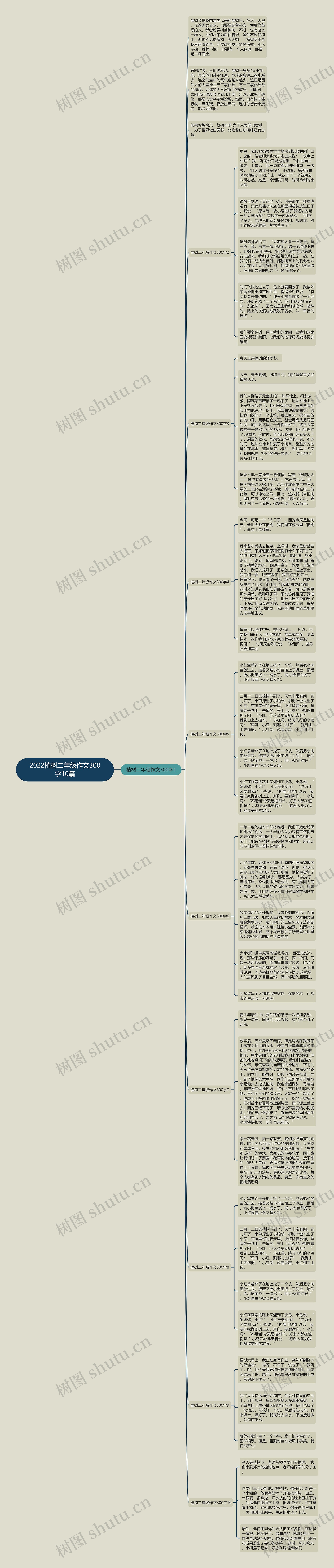 2022植树二年级作文300字10篇思维导图