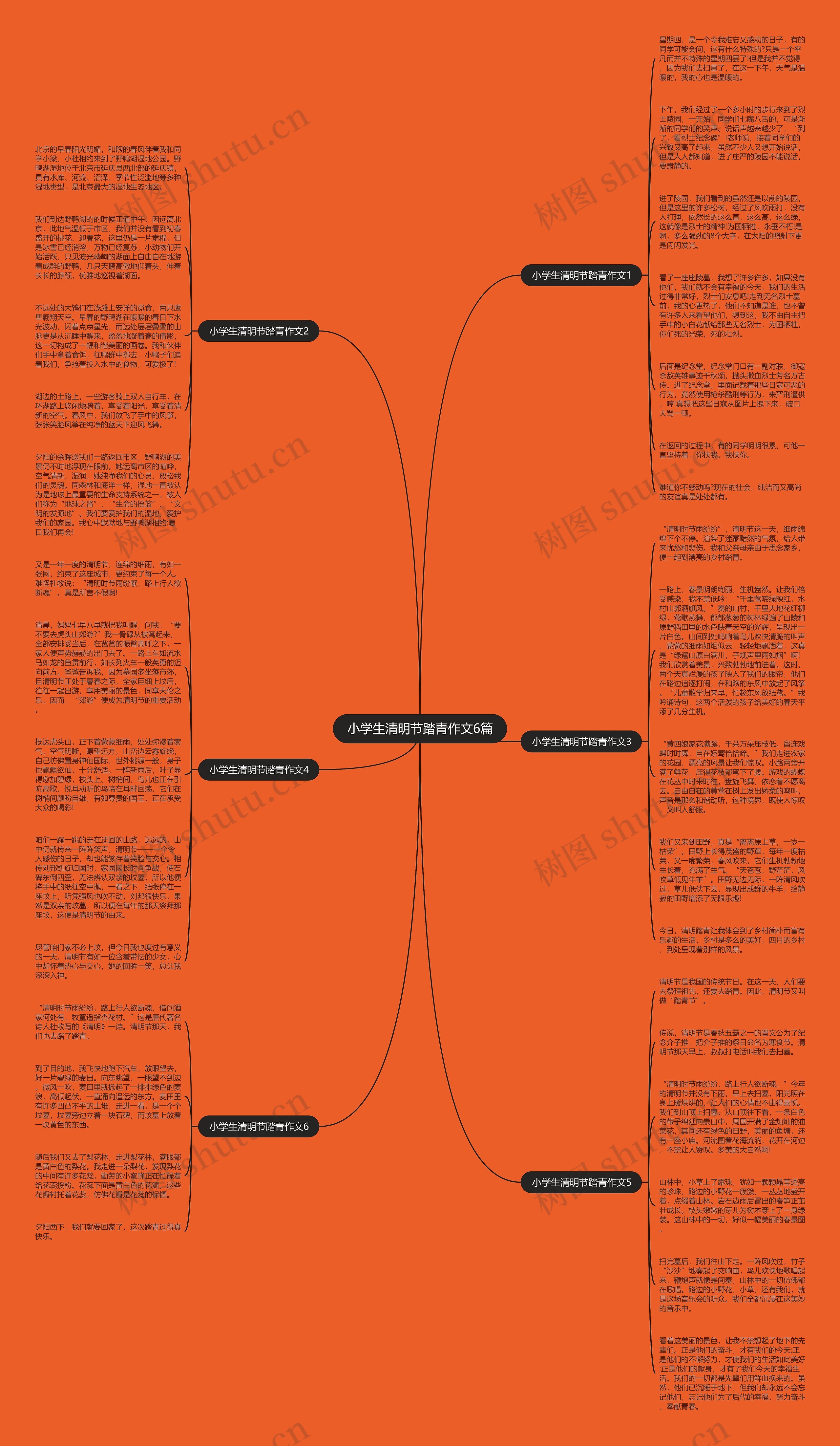 小学生清明节踏青作文6篇思维导图