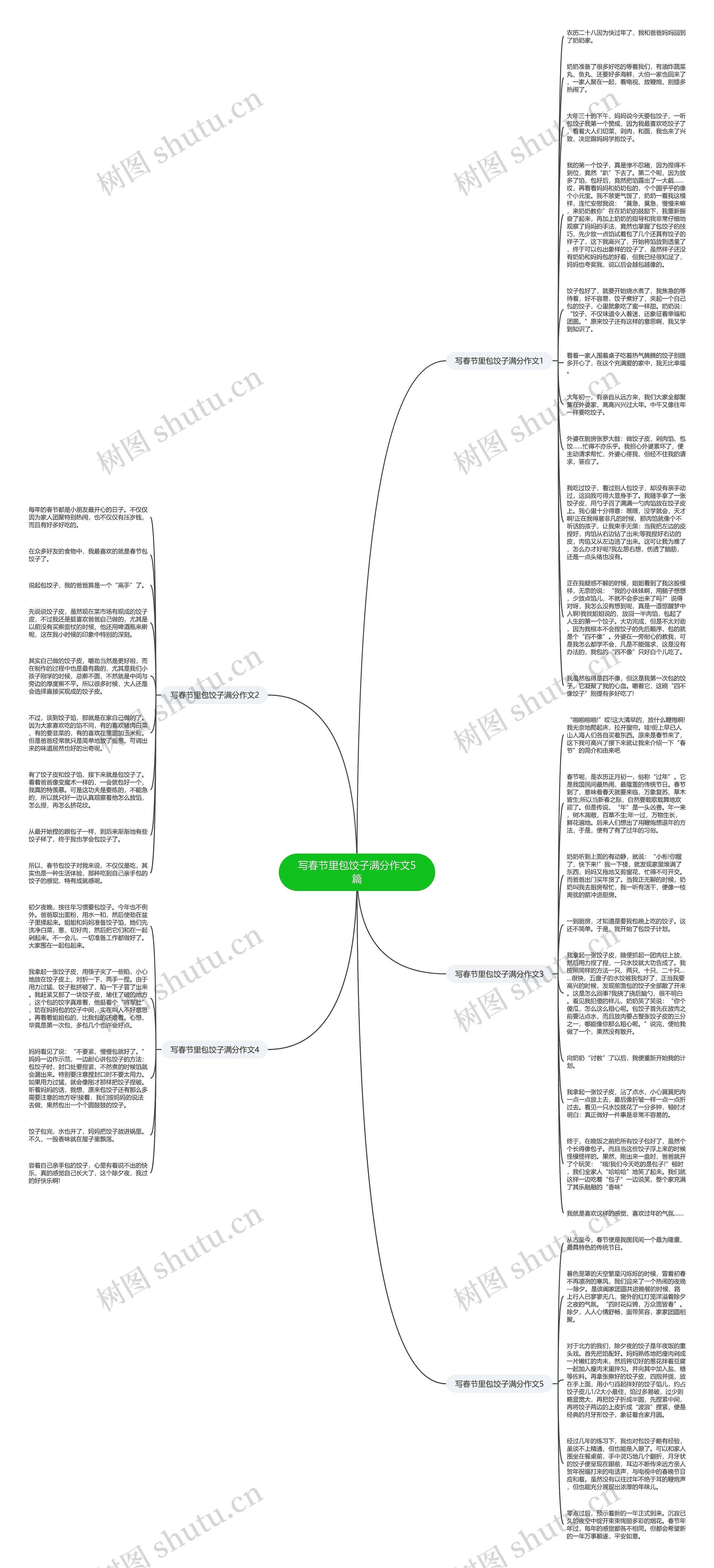 写春节里包饺子满分作文5篇思维导图
