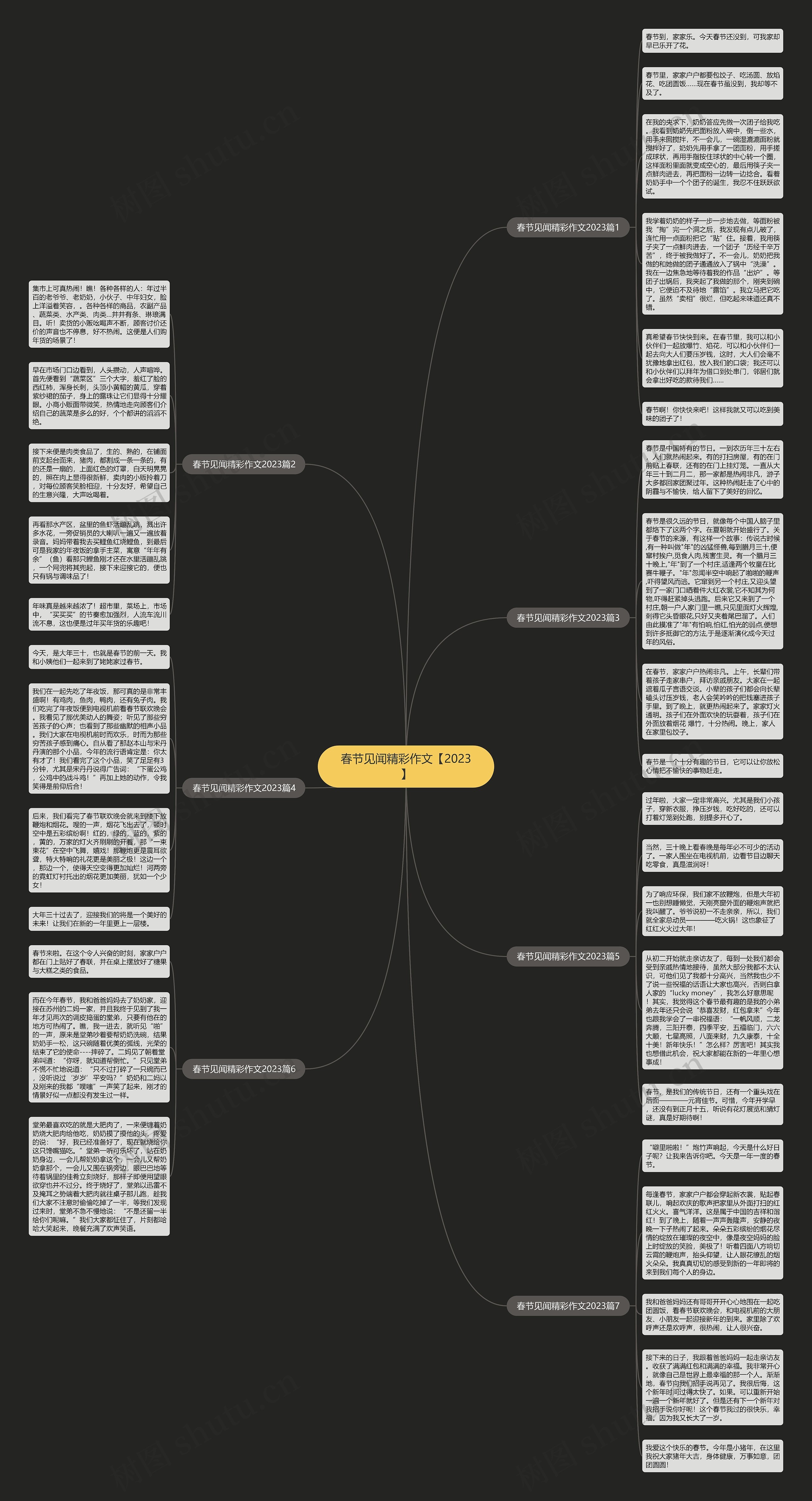 春节见闻精彩作文【2023】思维导图