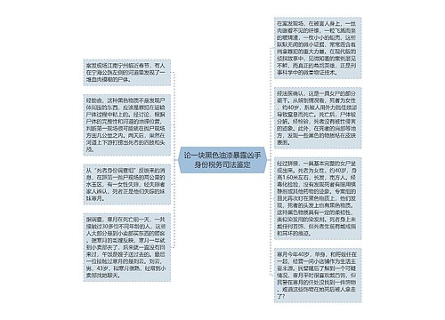 论一块黑色油漆暴露凶手身份税务司法鉴定