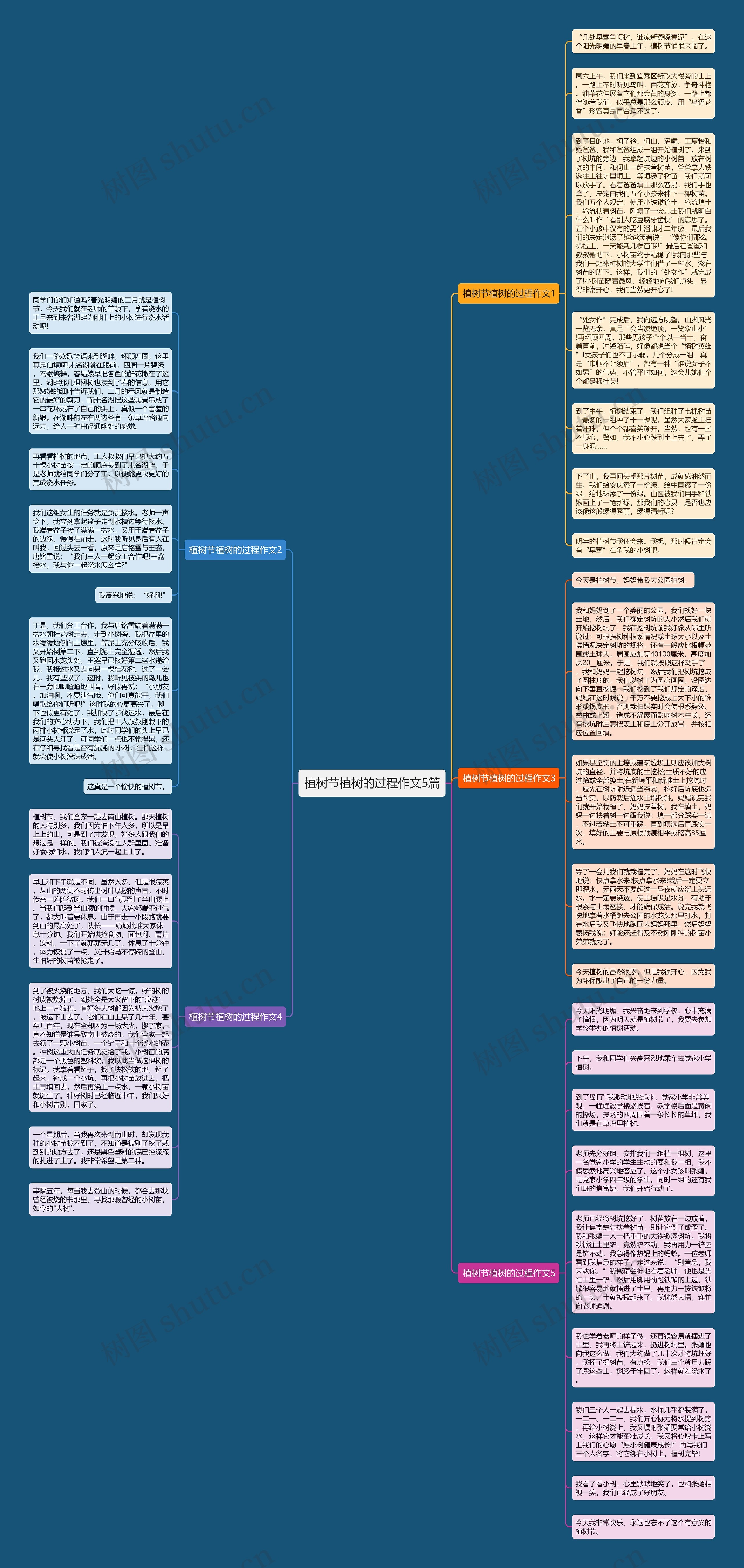 植树节植树的过程作文5篇思维导图