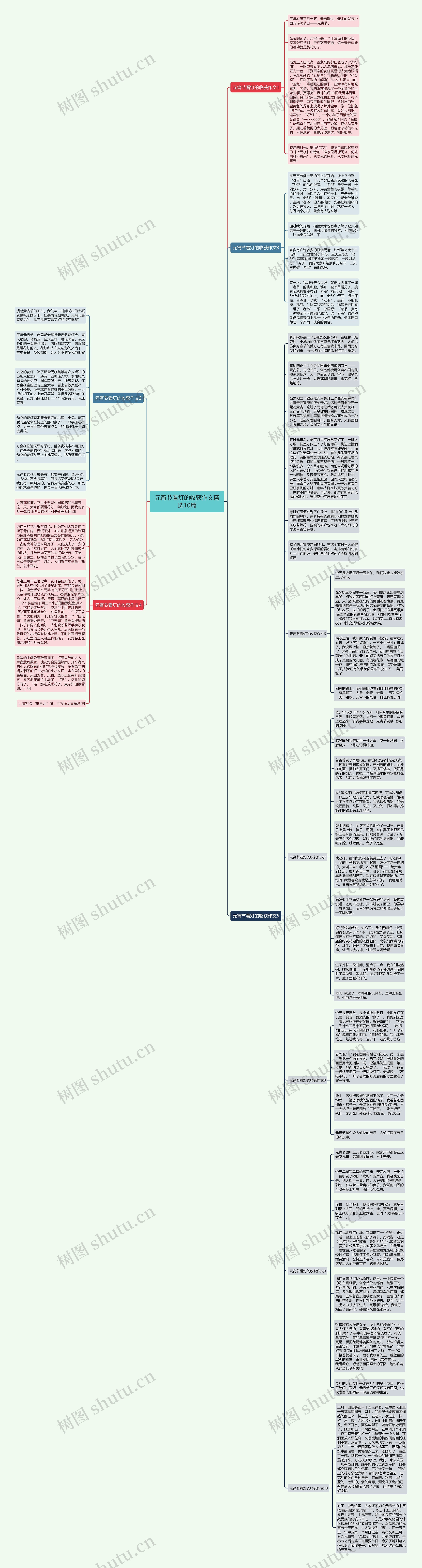 元宵节看灯的收获作文精选10篇思维导图