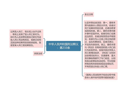 中华人民共和国刑法释义：第233条