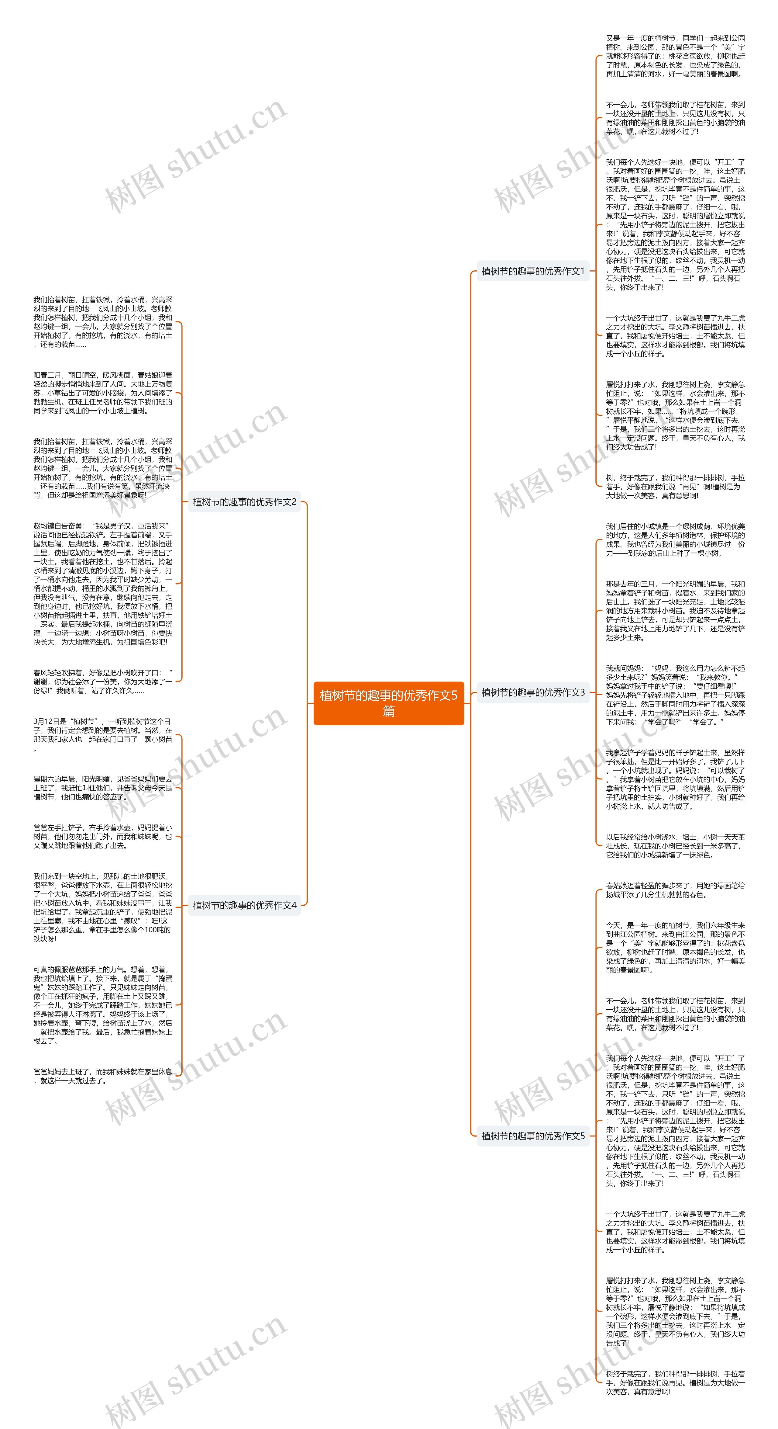 植树节的趣事的优秀作文5篇思维导图