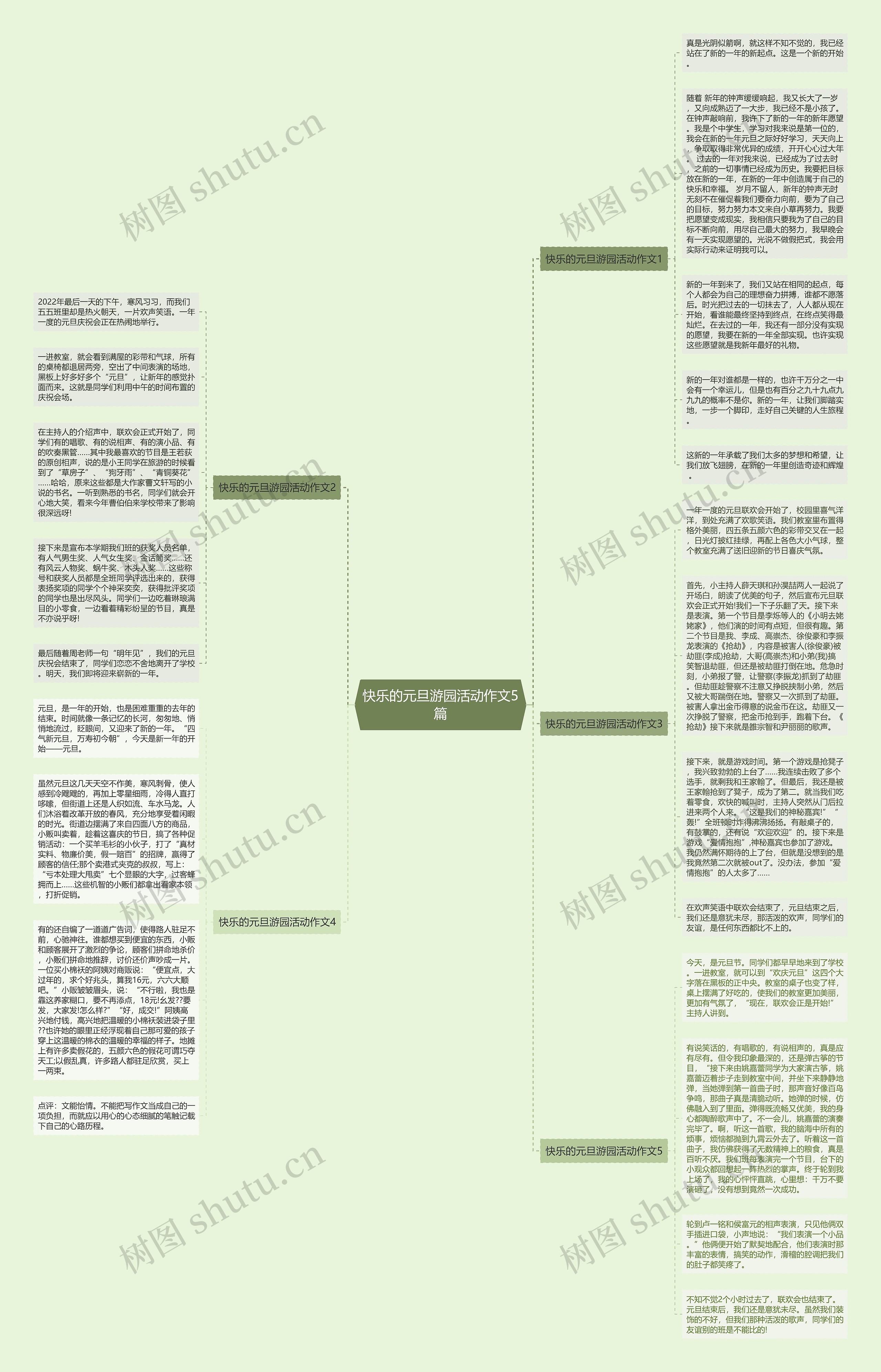 快乐的元旦游园活动作文5篇思维导图