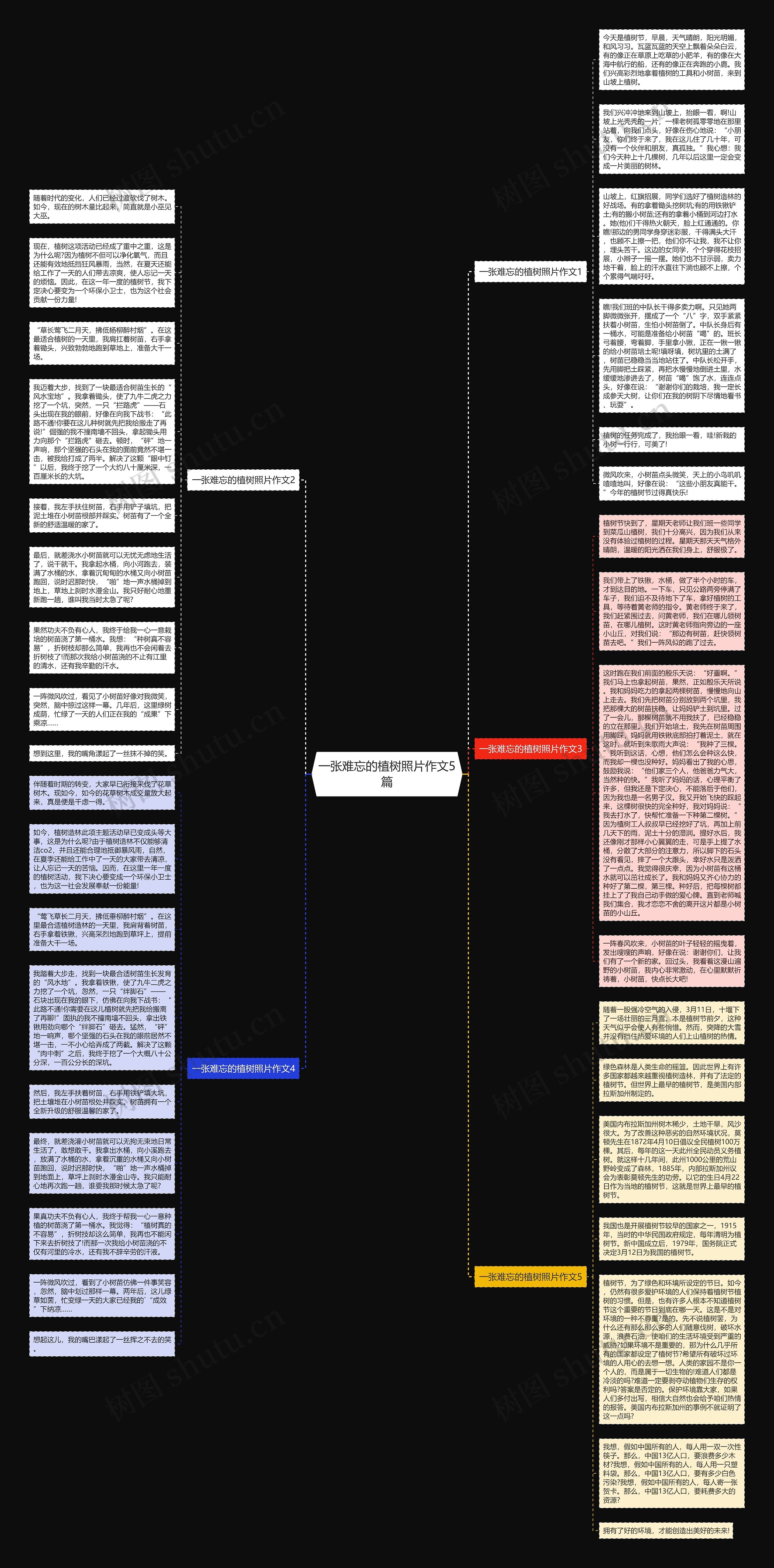 一张难忘的植树照片作文5篇思维导图