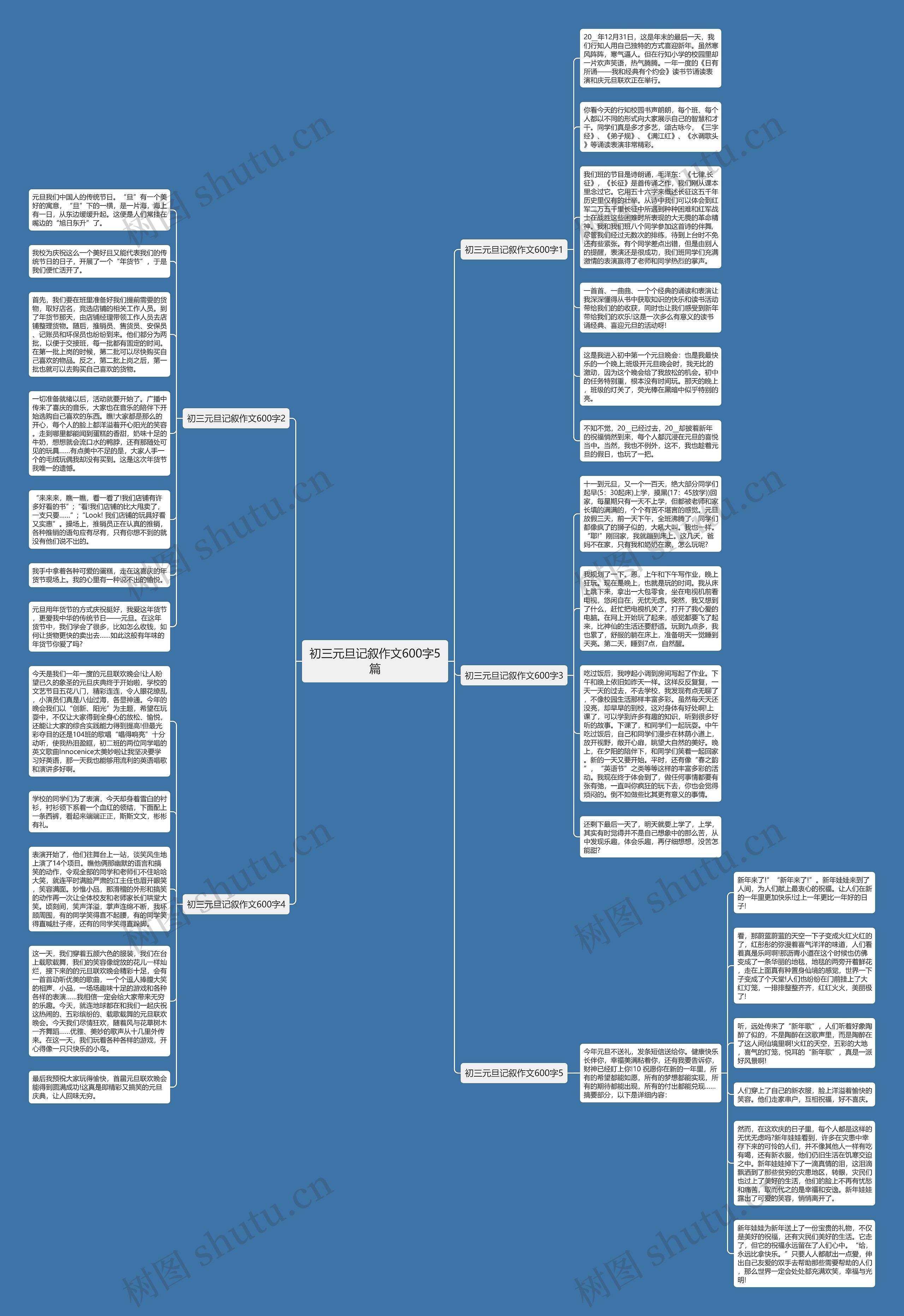 初三元旦记叙作文600字5篇思维导图