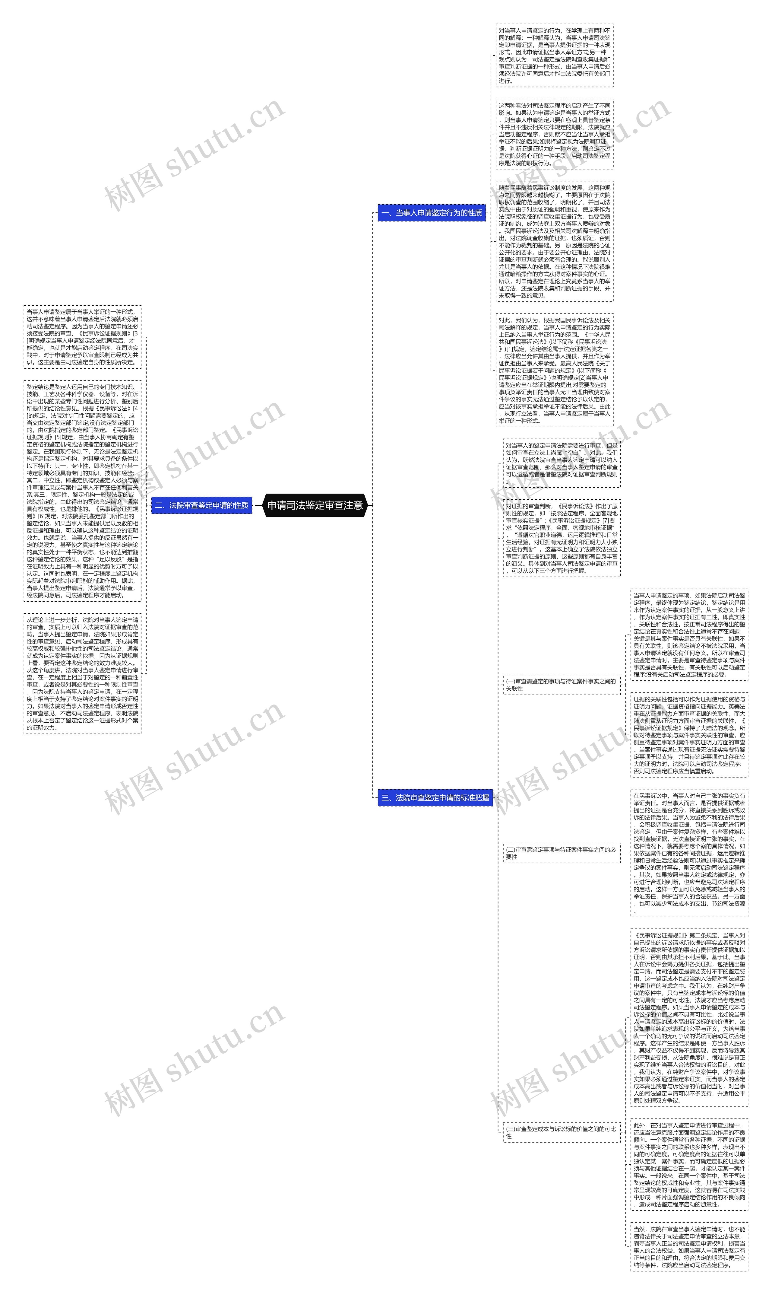 申请司法鉴定审查注意思维导图