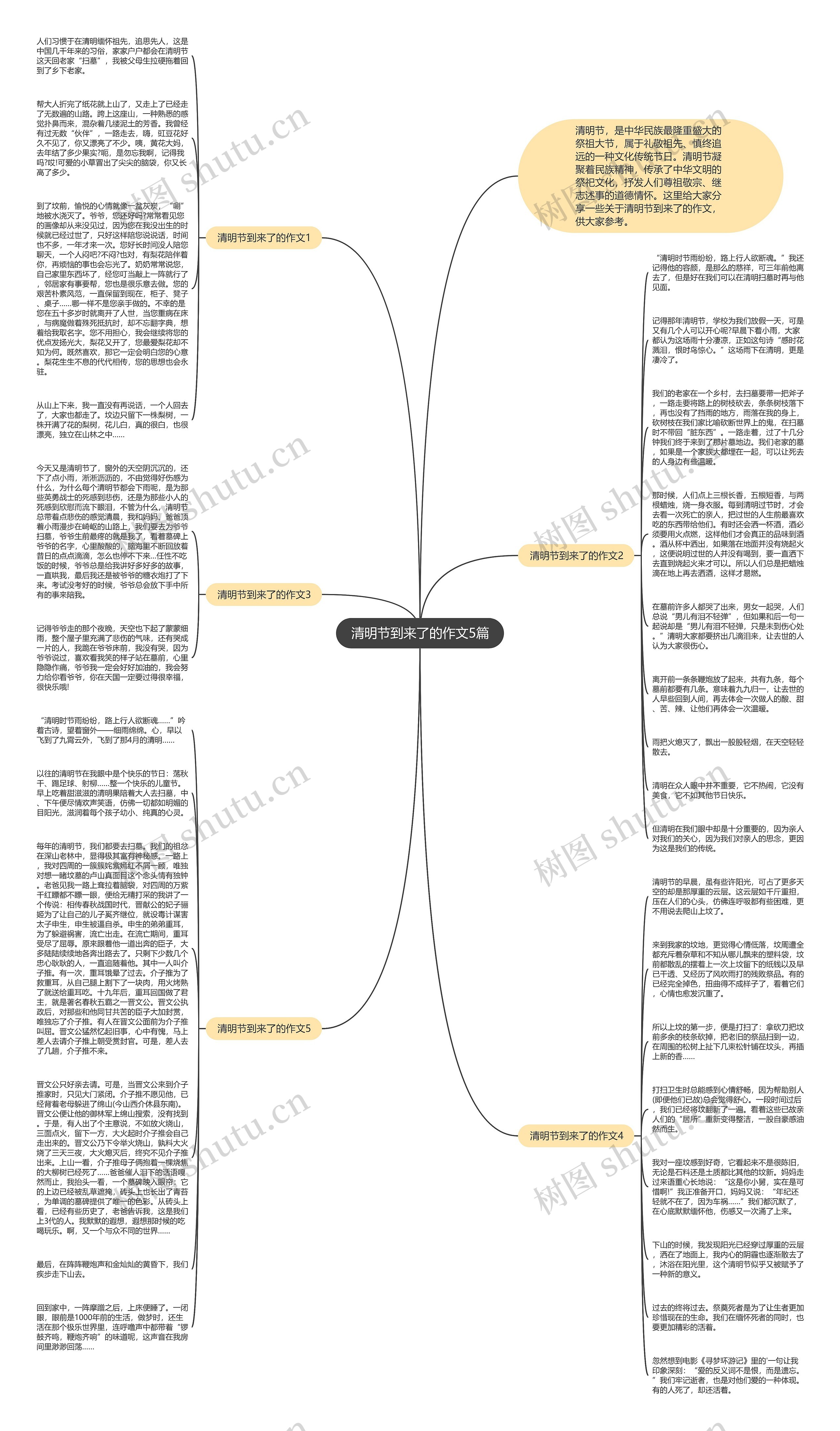 清明节到来了的作文5篇思维导图