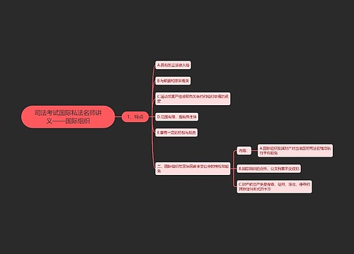 司法考试国际私法名师讲义——国际组织