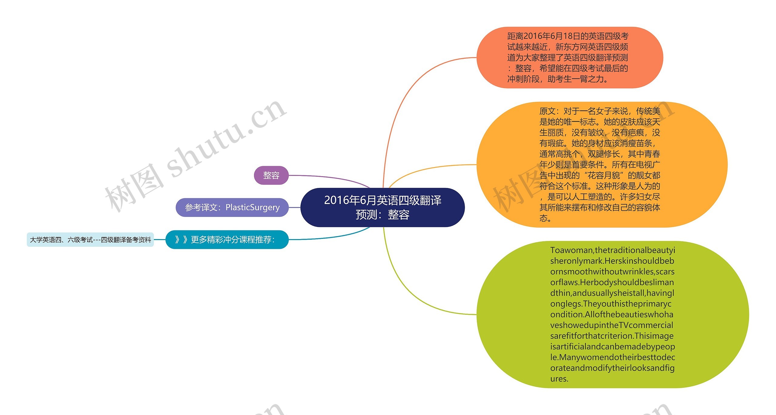 2016年6月英语四级翻译预测：整容