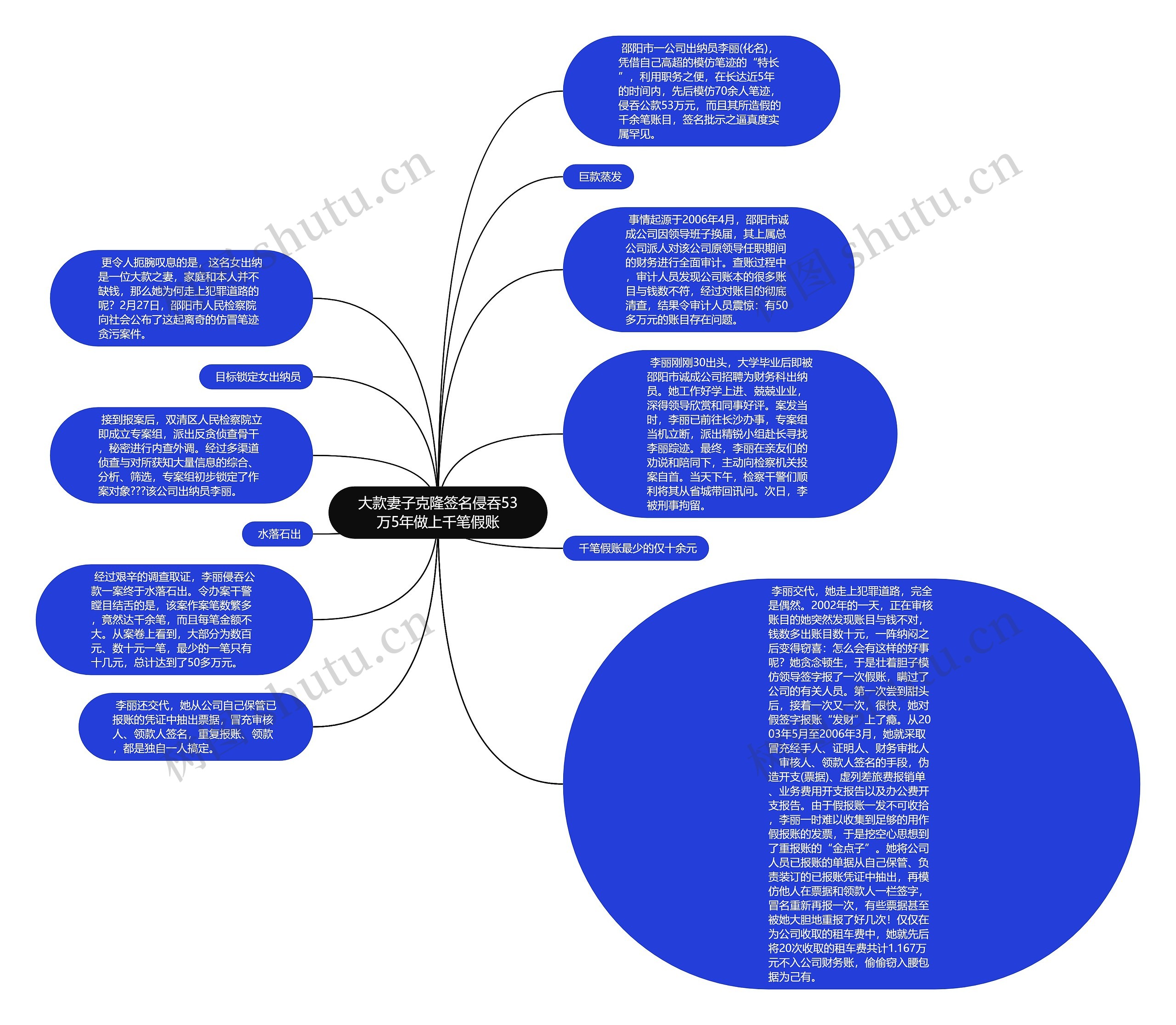 大款妻子克隆签名侵吞53万5年做上千笔假账思维导图