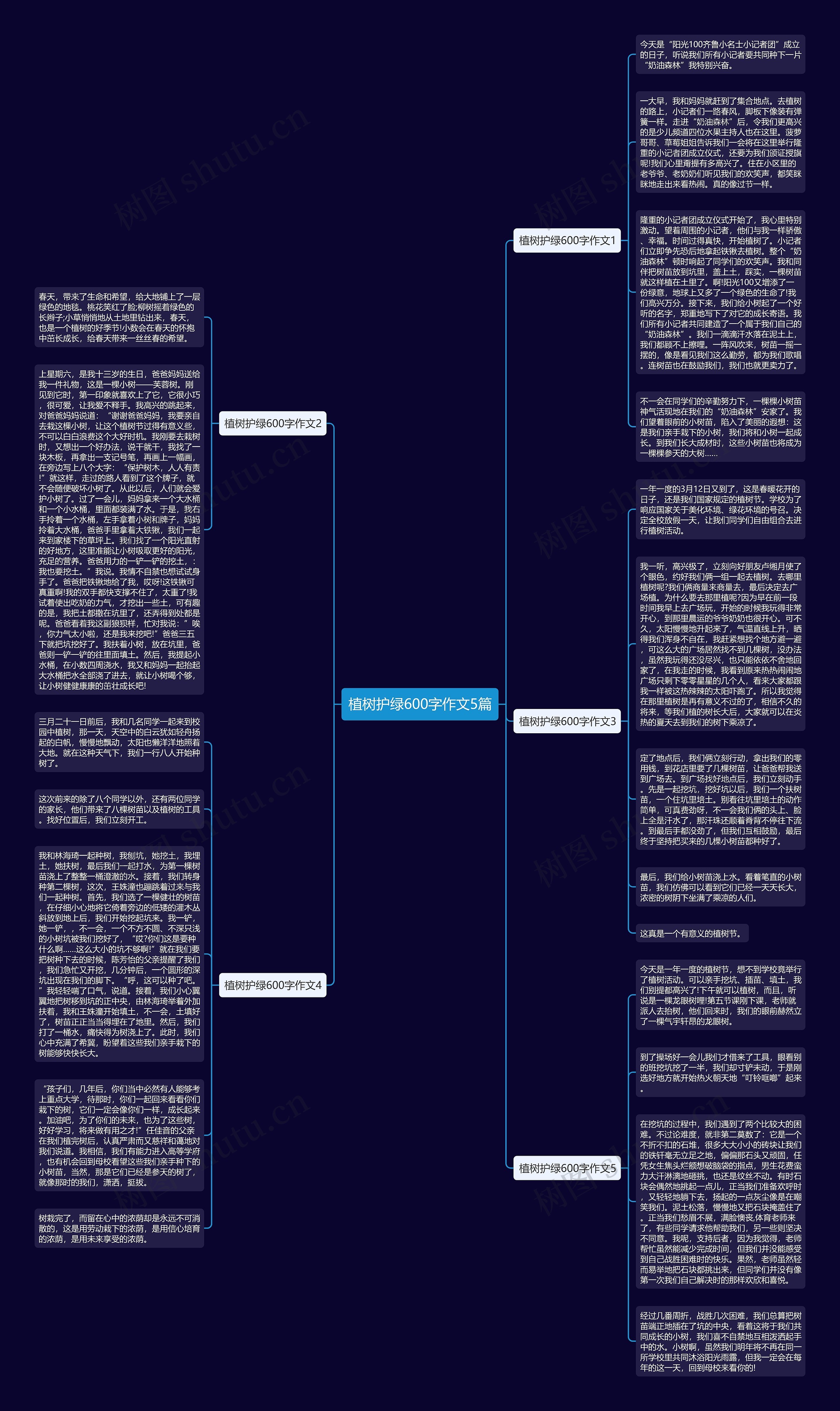 植树护绿600字作文5篇思维导图