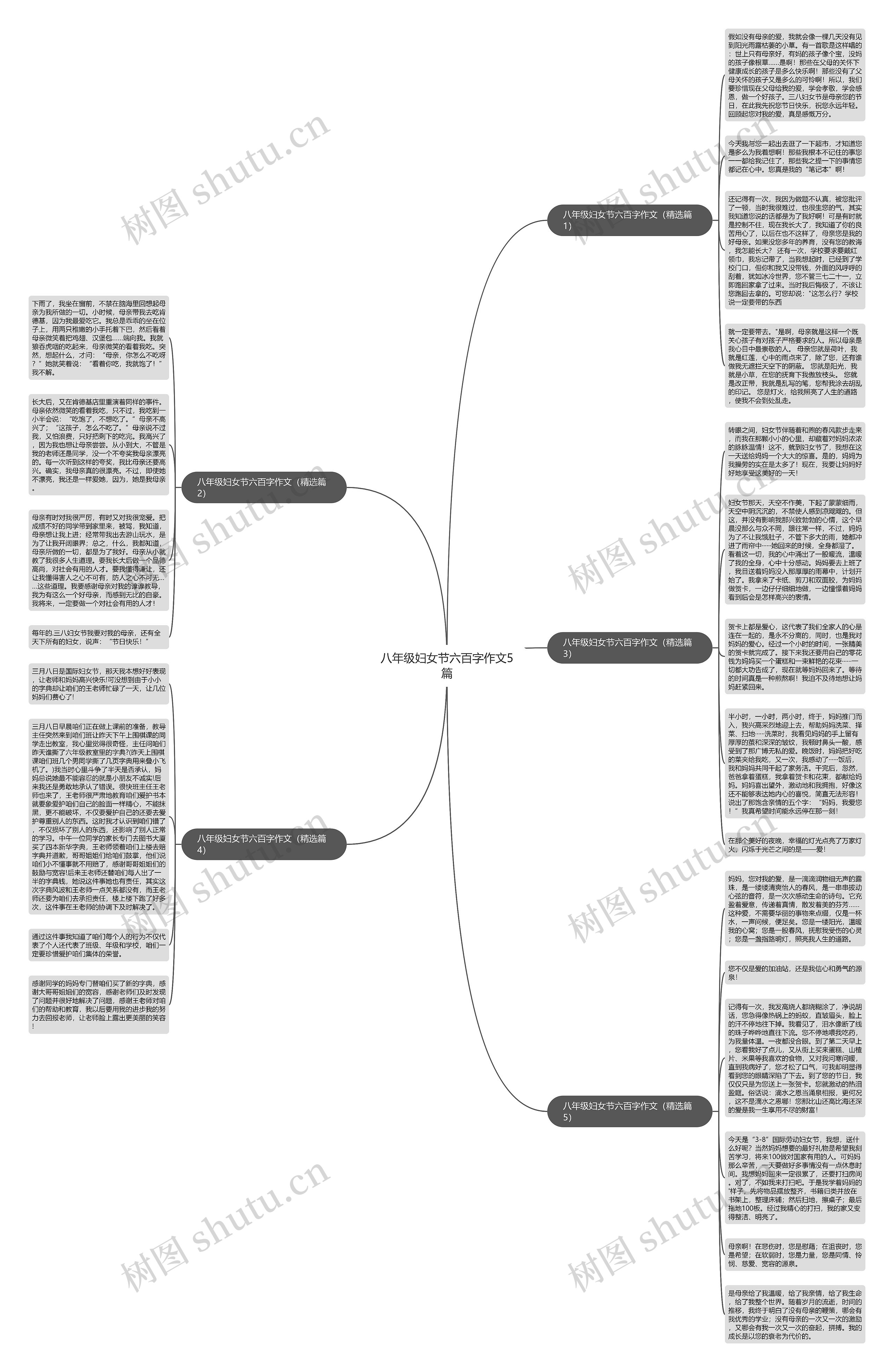 八年级妇女节六百字作文5篇思维导图