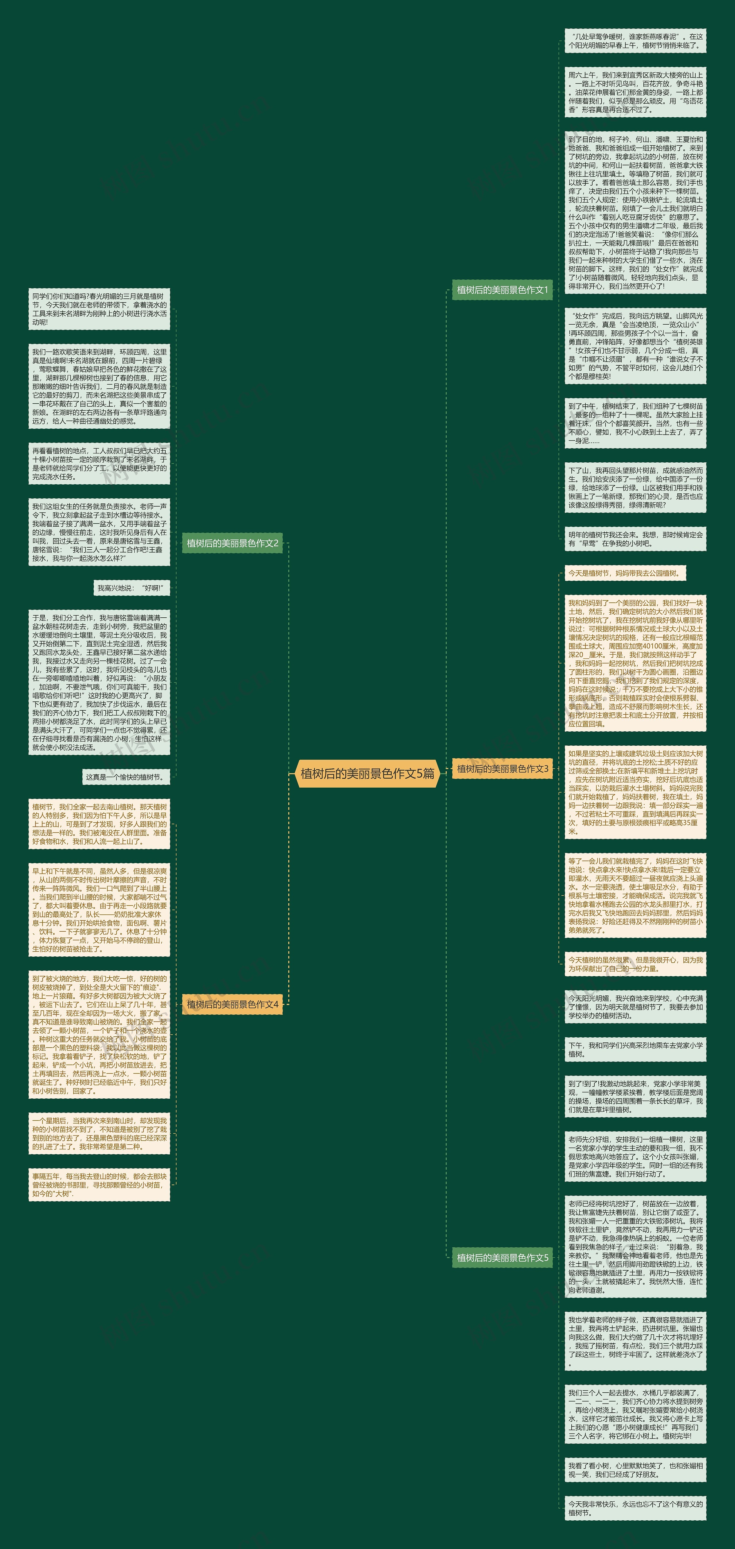 植树后的美丽景色作文5篇思维导图